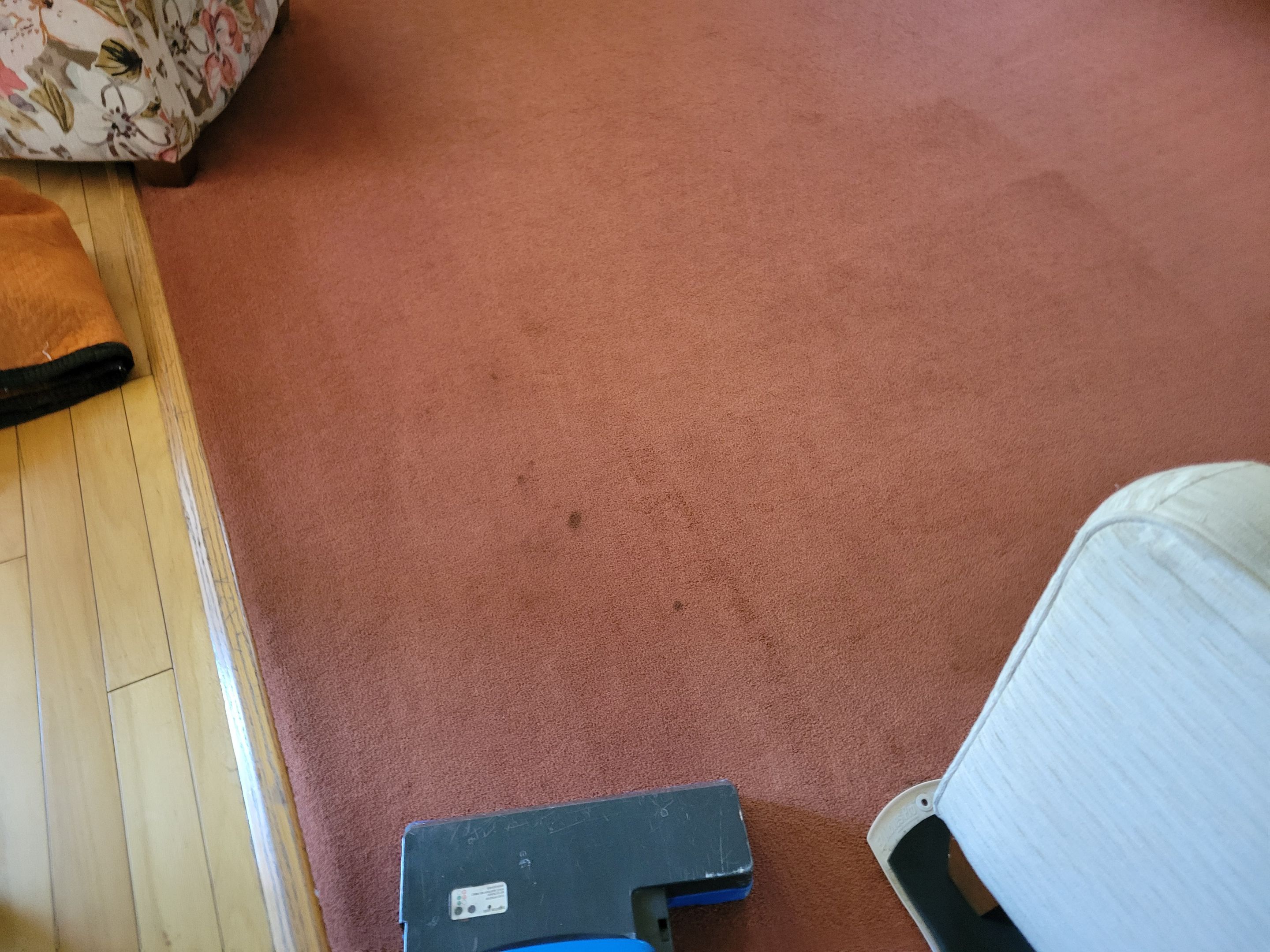 Carpet & Upholstery Cleaning by Ardent Carpet Restore LLC