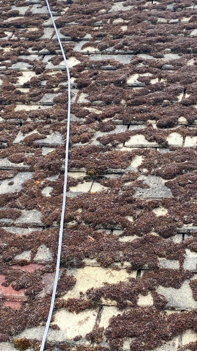 Roof Clean - Moss Removal using Honda 15lpm Low Pressure Washing Machine by Ges Exterior Cleaning ltd