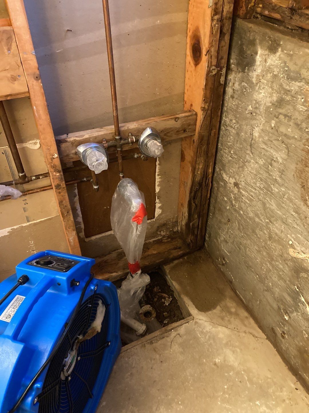 Mold Remediation in Bathroom by Accountable Home Services