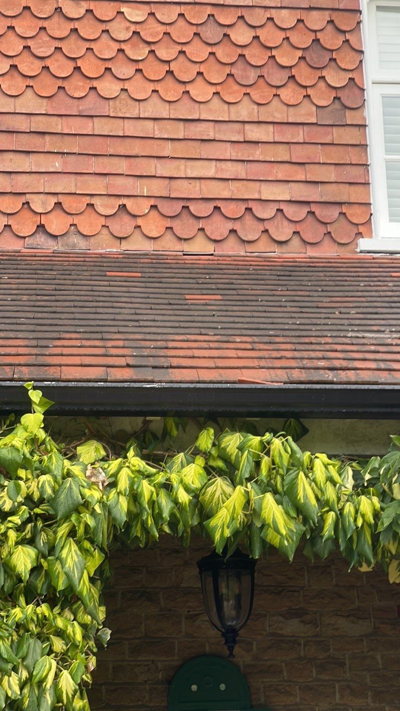 Exterior Clean - Roof - Pool  using Mosmatic FSC and Biocide by Ges Exterior Cleaning ltd