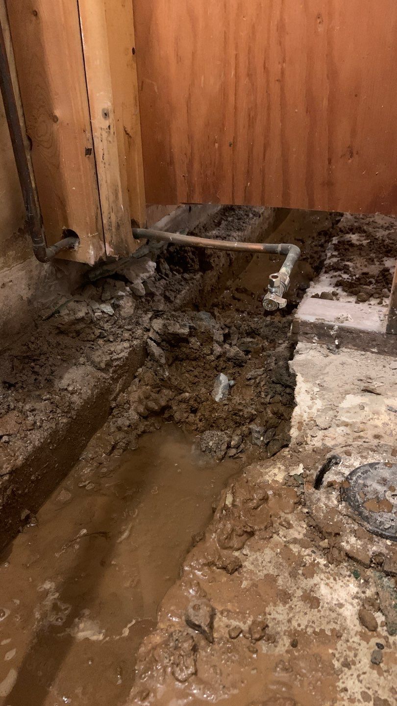 Upgrading Nicole & Gary’s 1960s Beaver System in St. Paul by Waterproofing Northeast