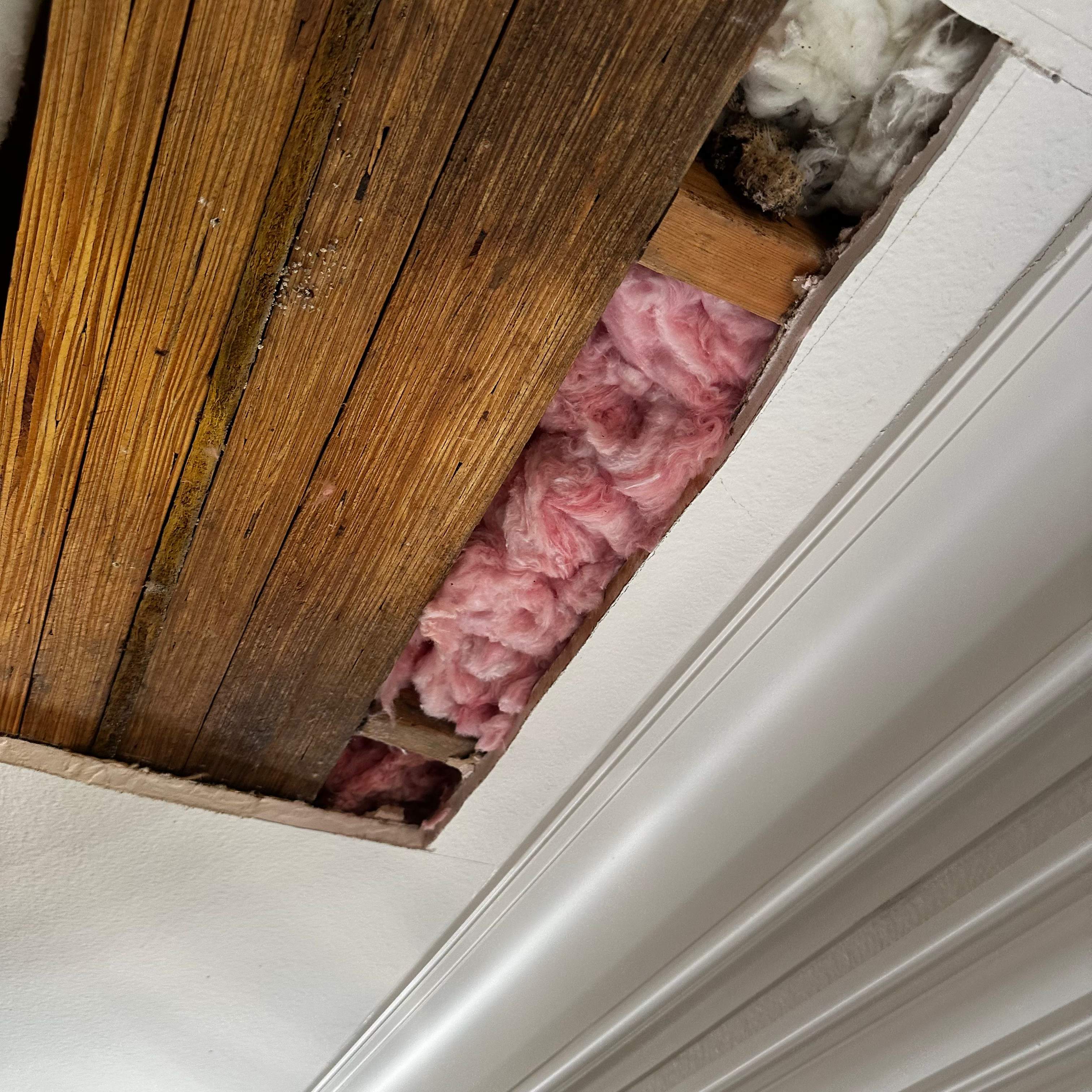 Ceiling Cutout by Rockwall Honey Bee Company