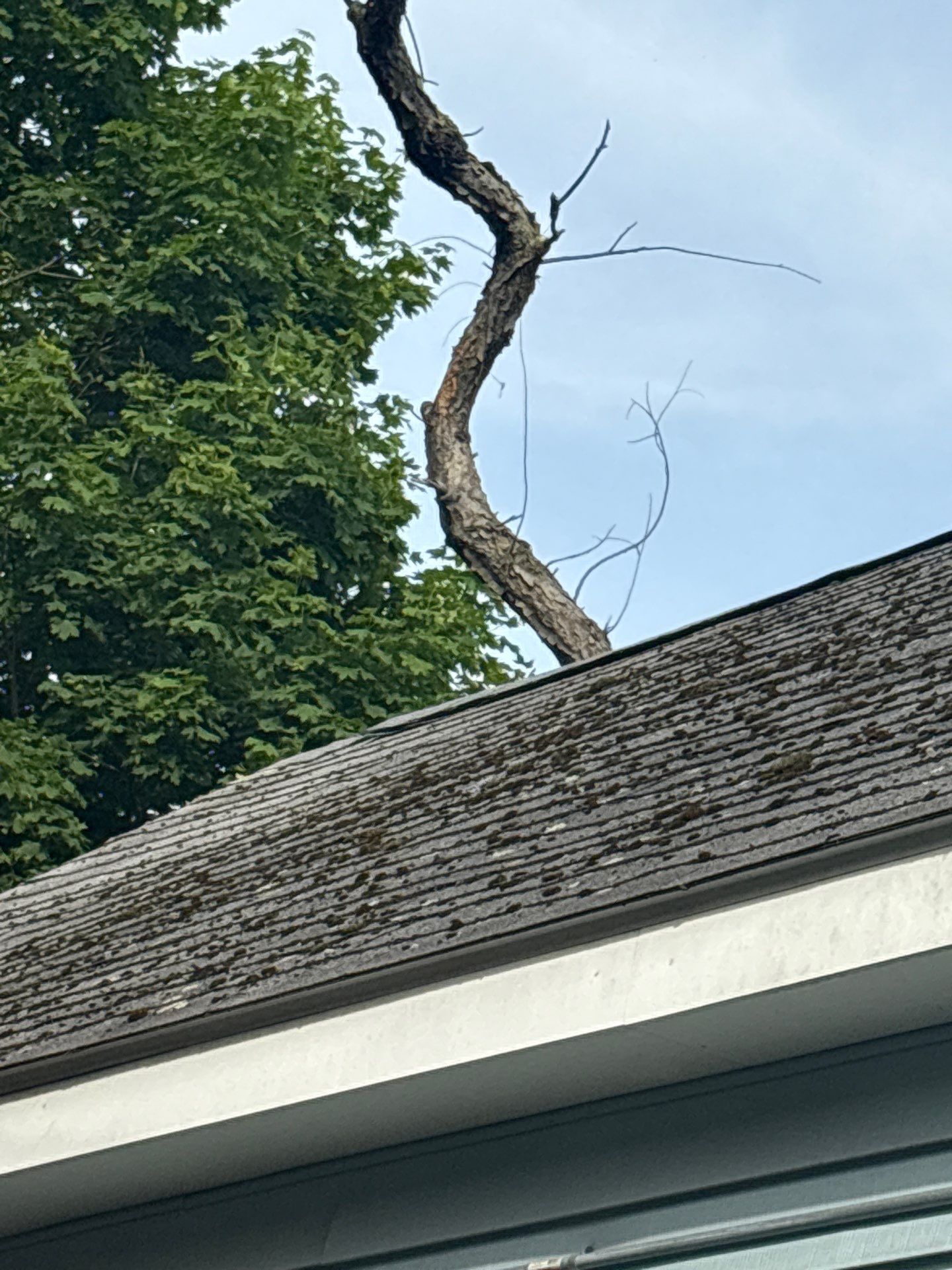 Roof Replacement in Methuen, MA by Mighty Dog Roofing of Greater Middlesex County
