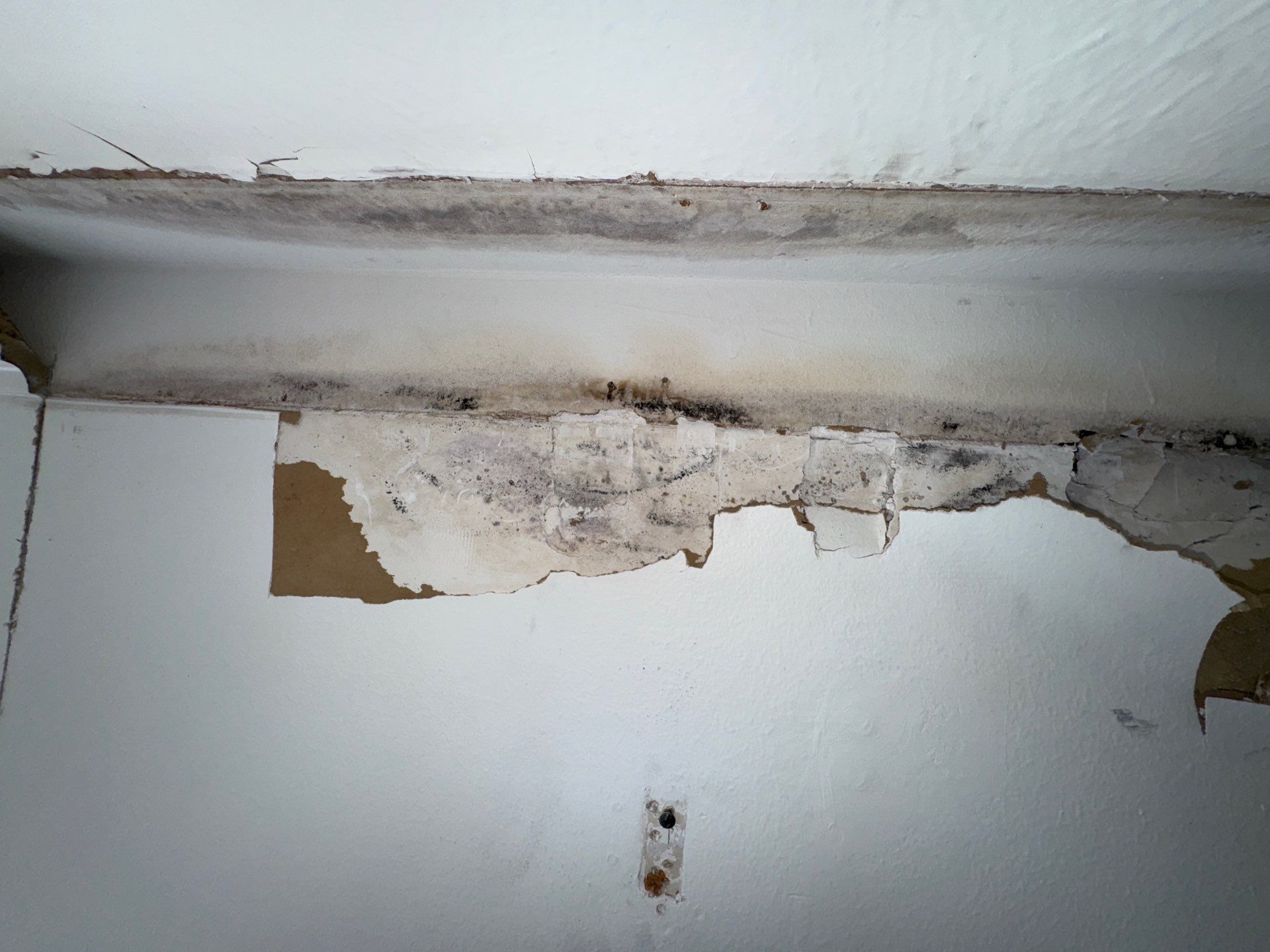 Mold Remediation Job in Richmond by Team Home Solutions