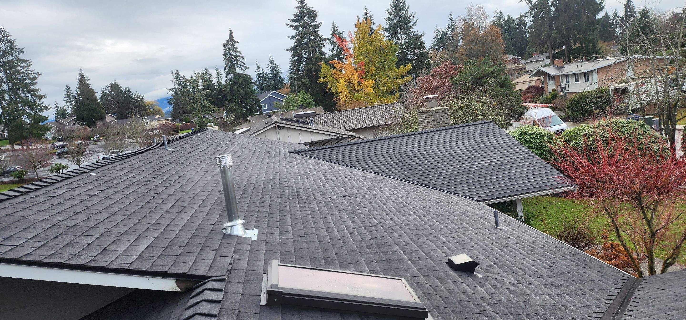 Bellevue Carl by RoofWorks Northwest