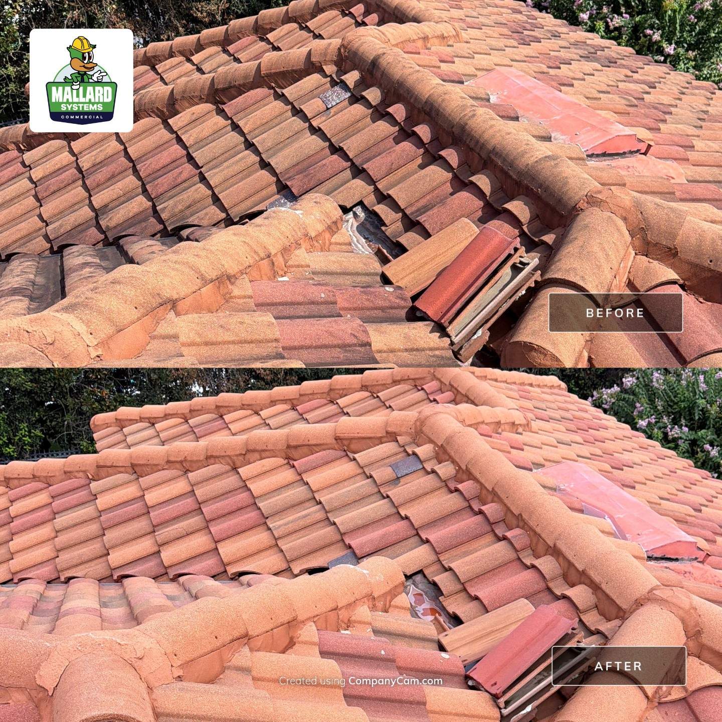Tile Roof Cleaning in Windermere by Mallard Systems
