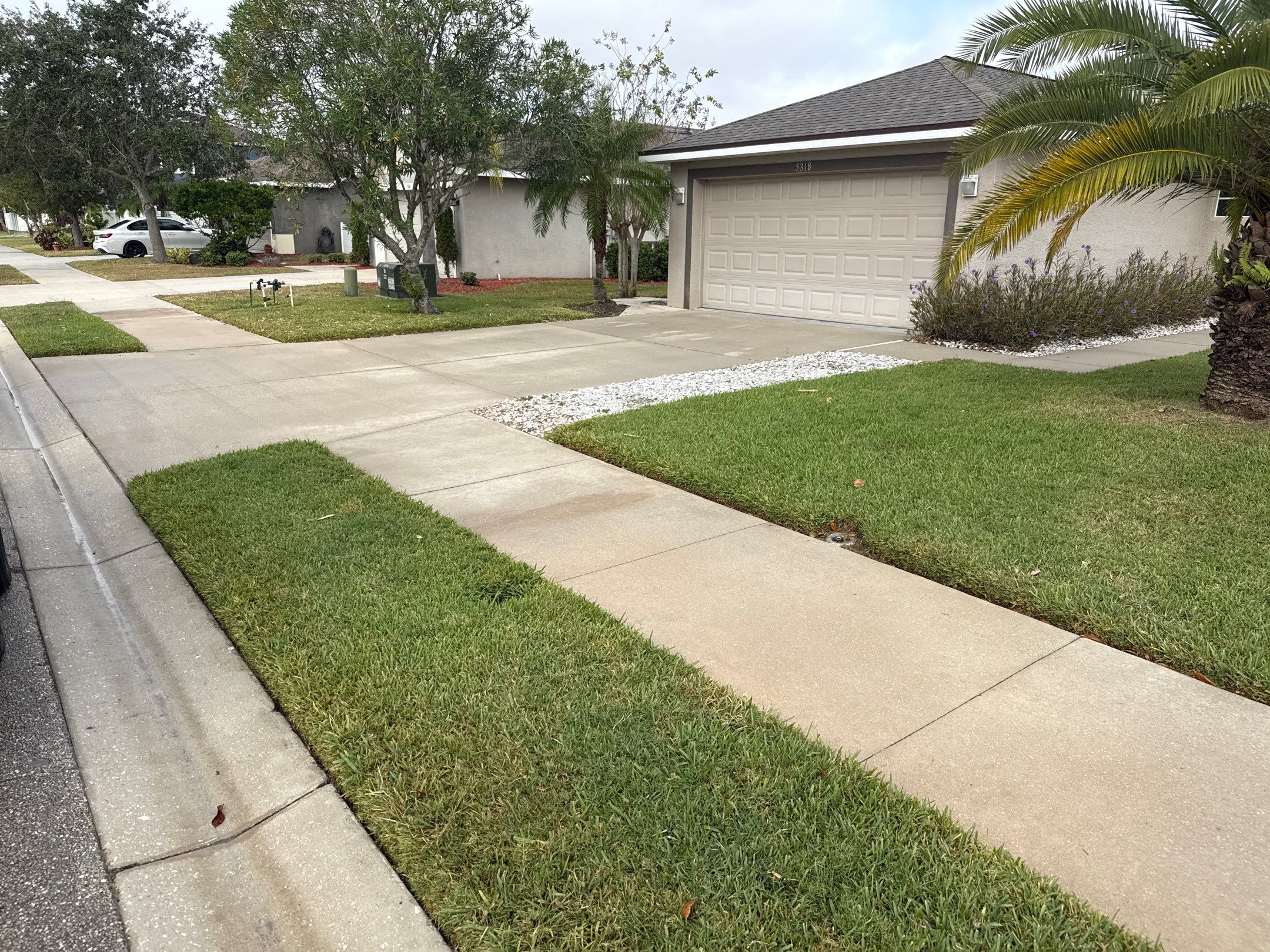 Vinyl Fence Cleaning, Driveway & Sidewalk Cleaning in Crystal Lakes – Palmetto, FL by Sunshine AquaWash