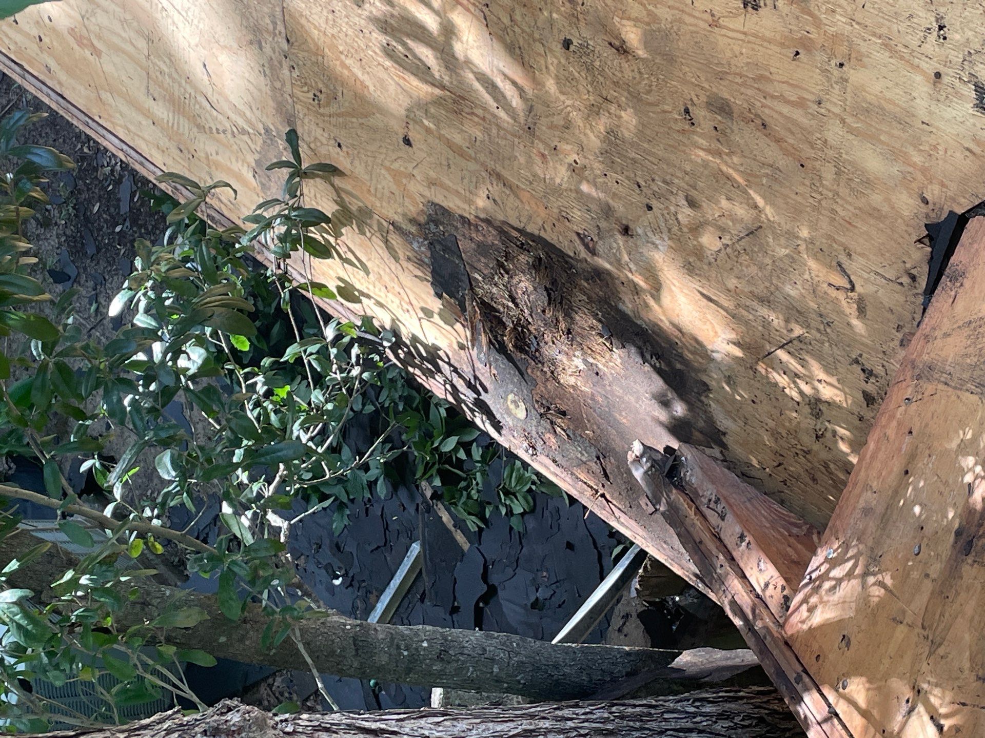 Roof Replacement Humble by Roof Repair Company