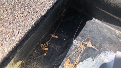 Project in Aurora