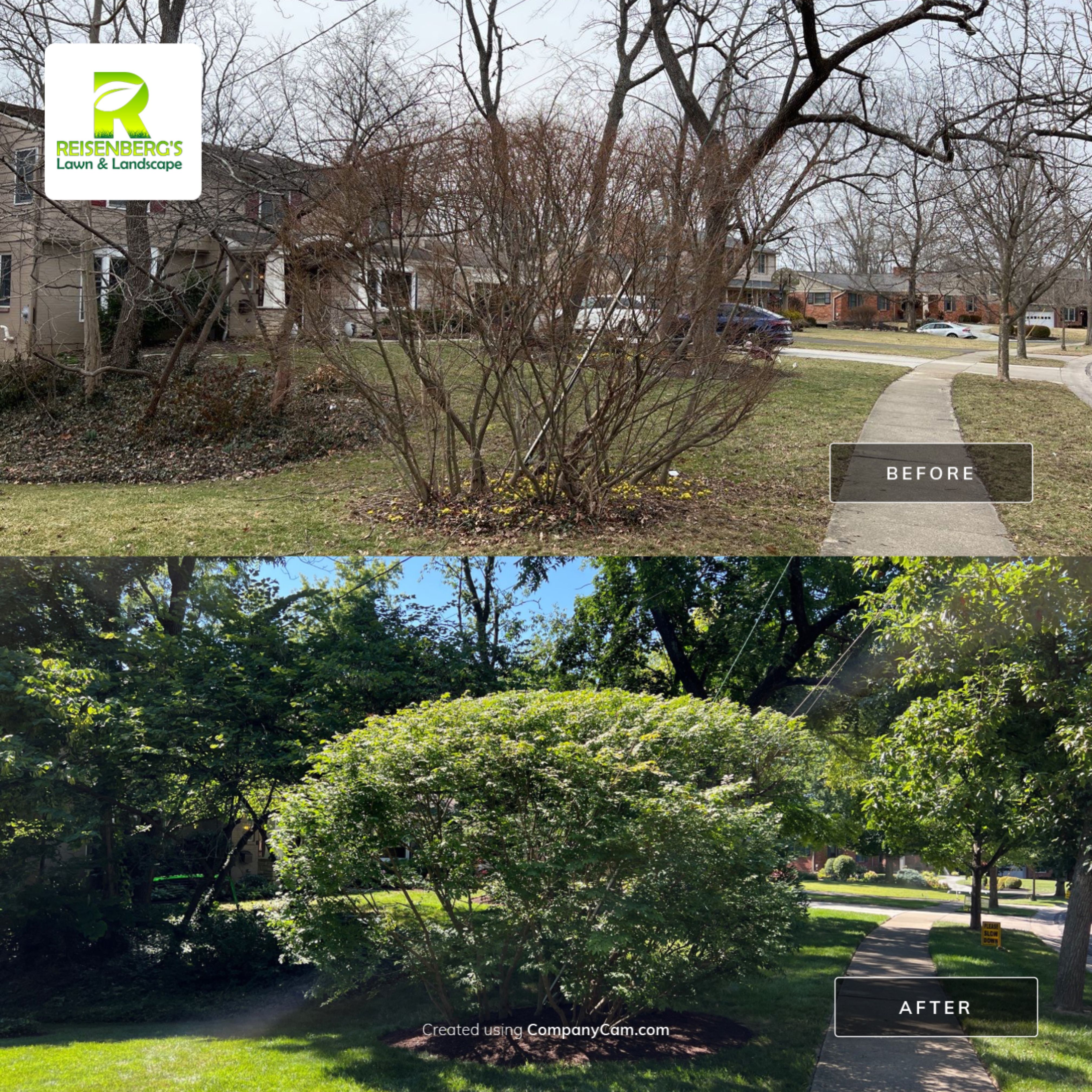 Spring Clean Up, Edge, Prune & Mulch by Reisenberg’s Lawn & Landscape, LLC