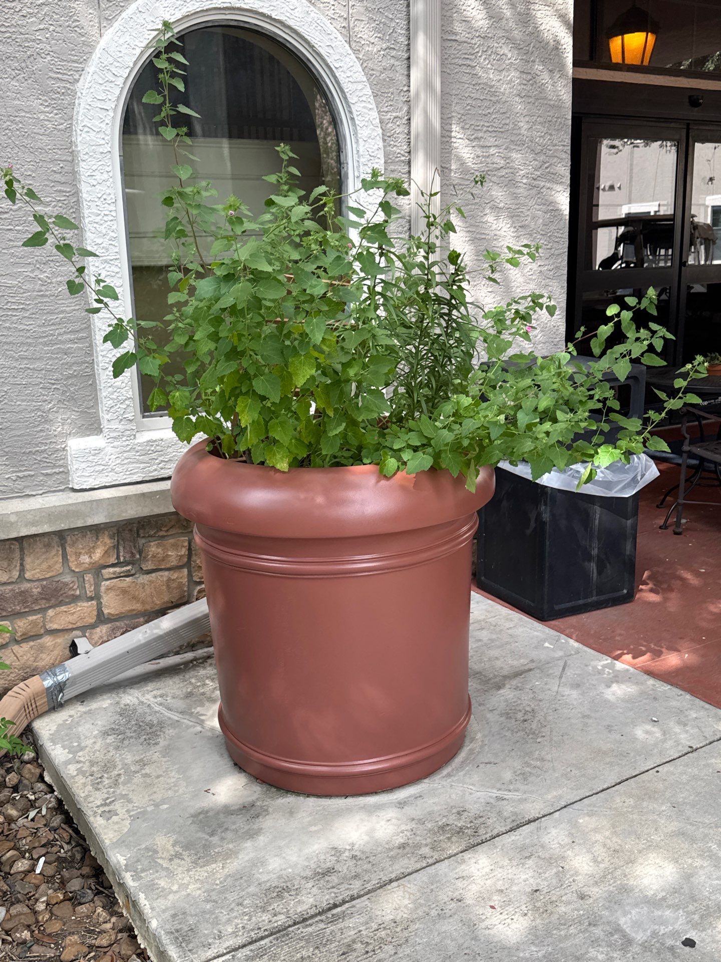 Project in San Antonio by Crush Development Services LLC