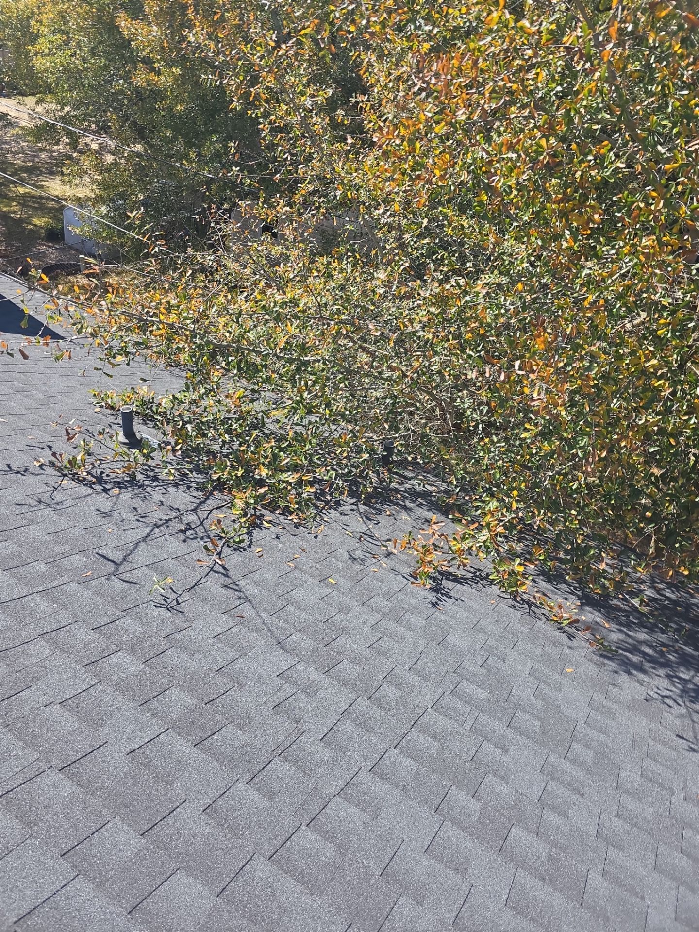 Our salesmen actually WORK for you! by REPS OF TEXAS