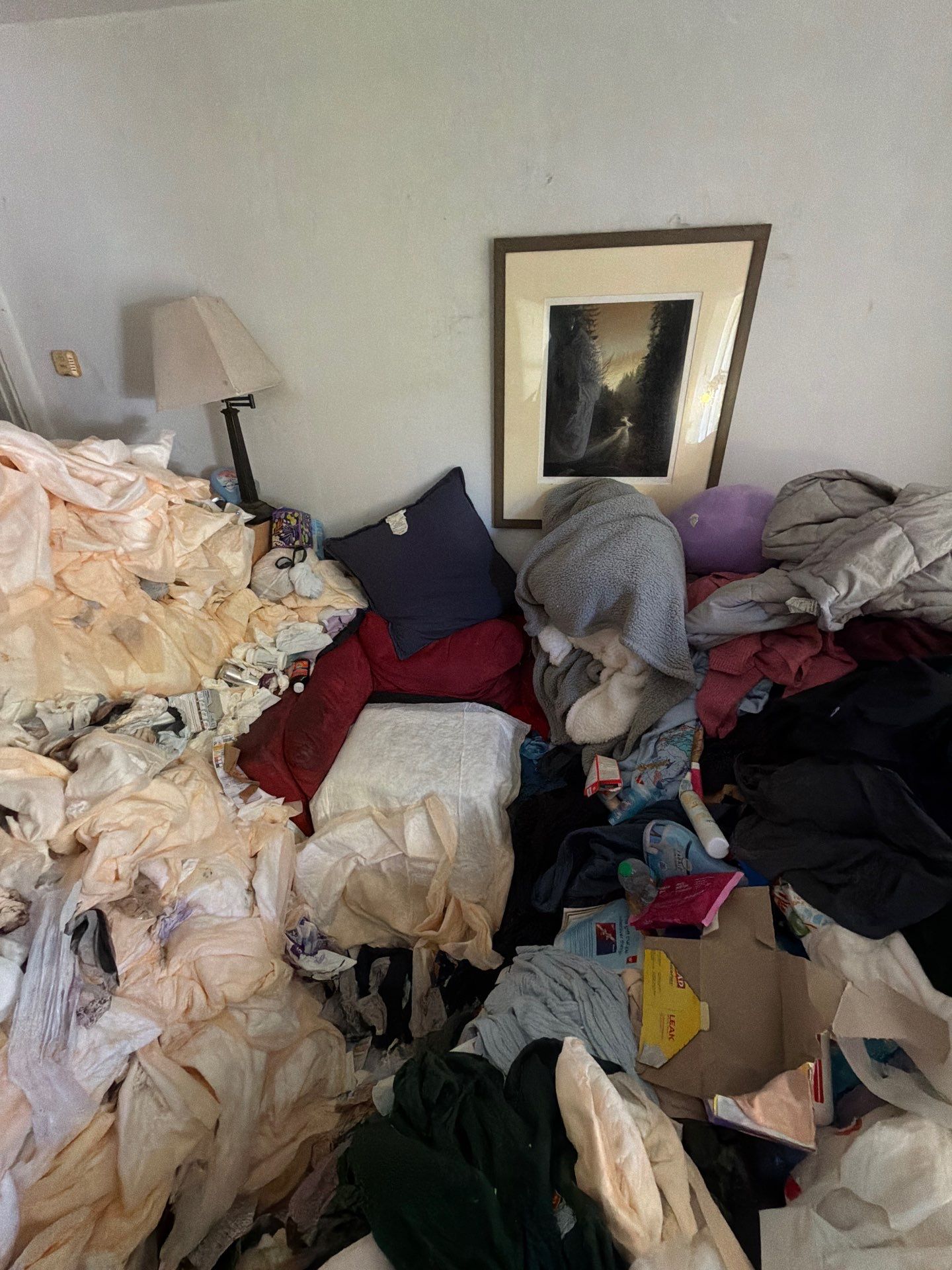 Project in Novato by 911 Hazmat Cleanup 