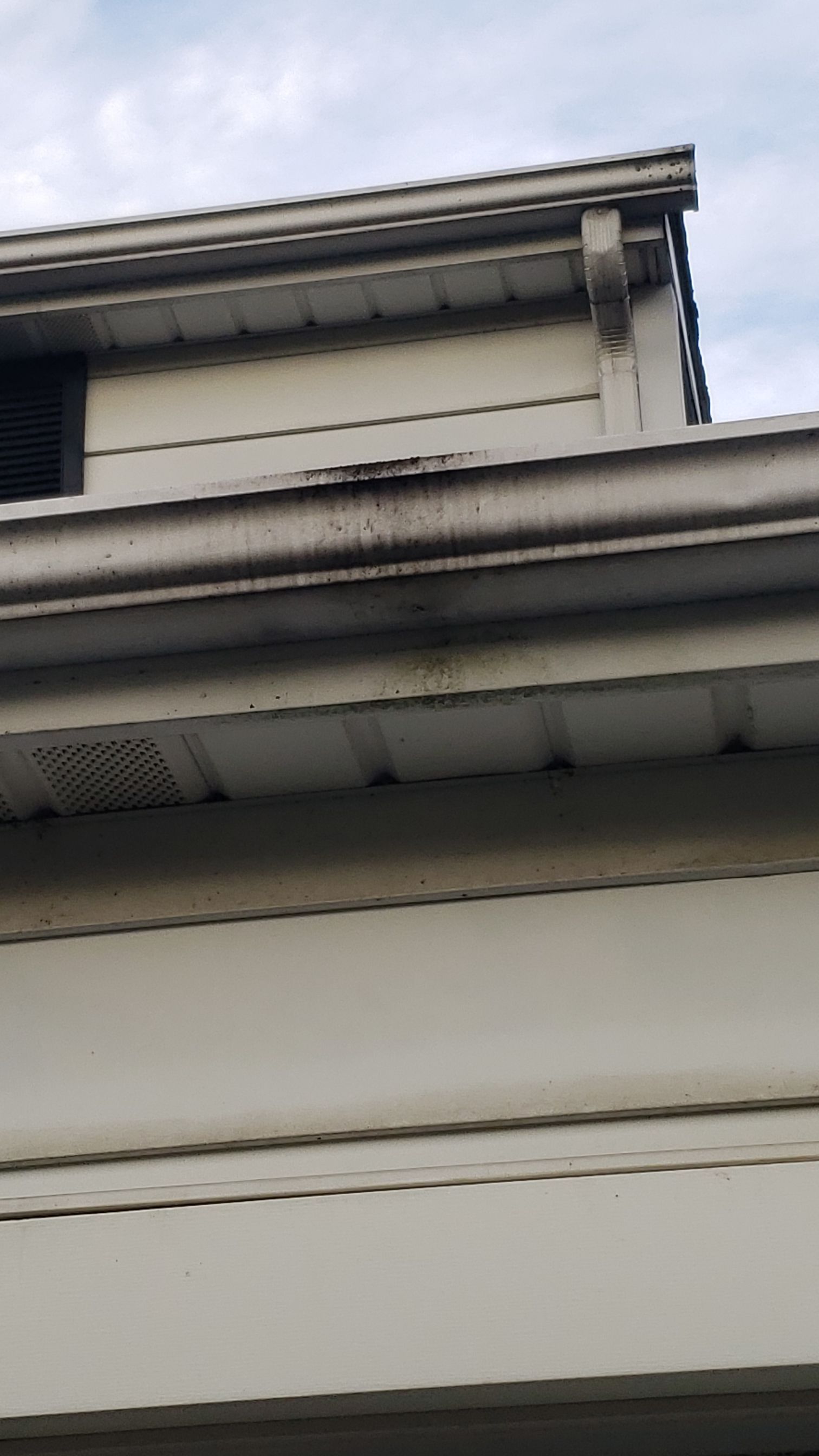 CERTAINTEED LANDMARK COLOR: PEWTER DRIP EDGE: WHITE by Eagle Eye Roofing