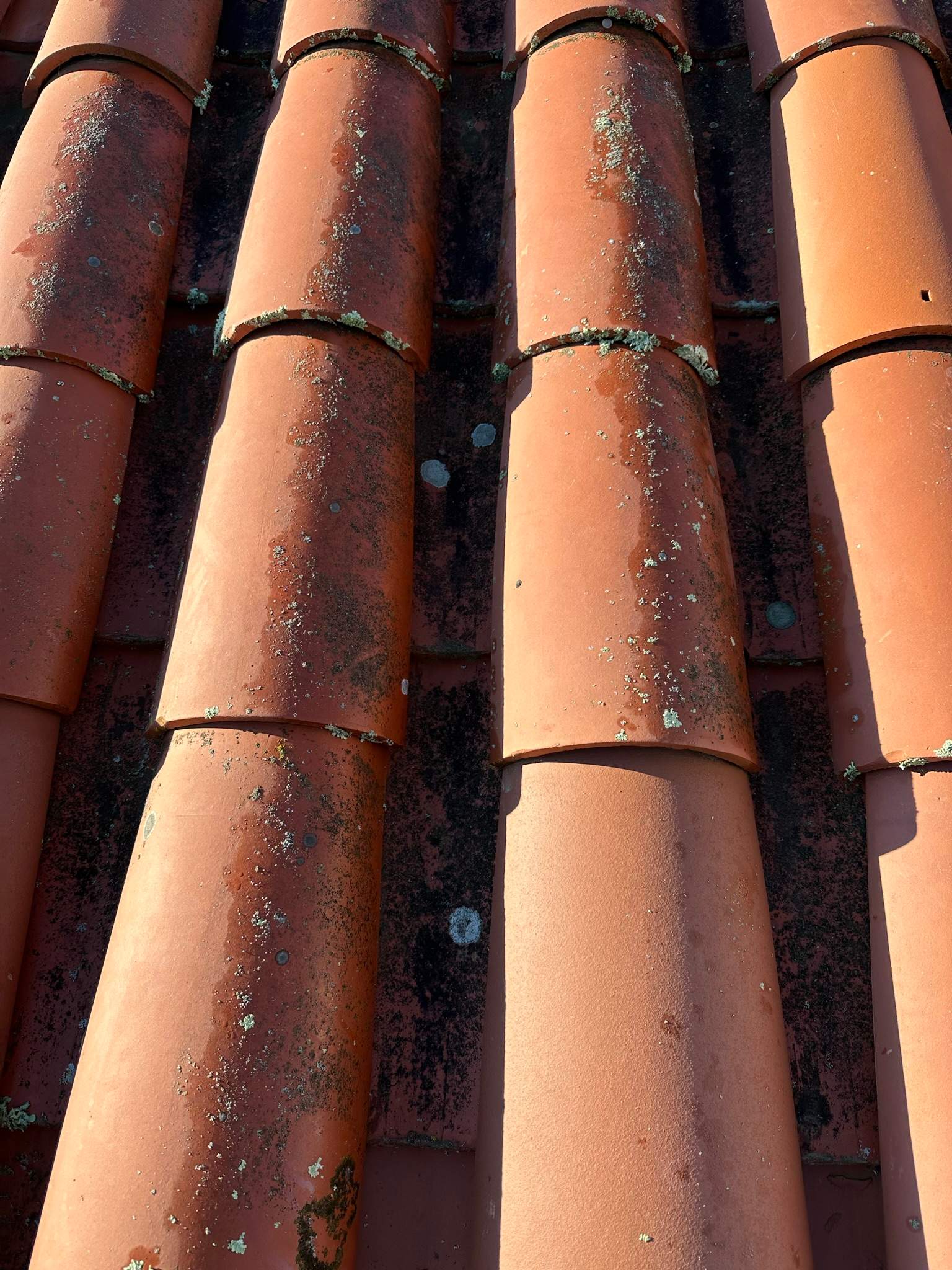 Orange County Clay Tile Roof Soft Wash on Unwalkwable Roof by Property Cleaning Experts