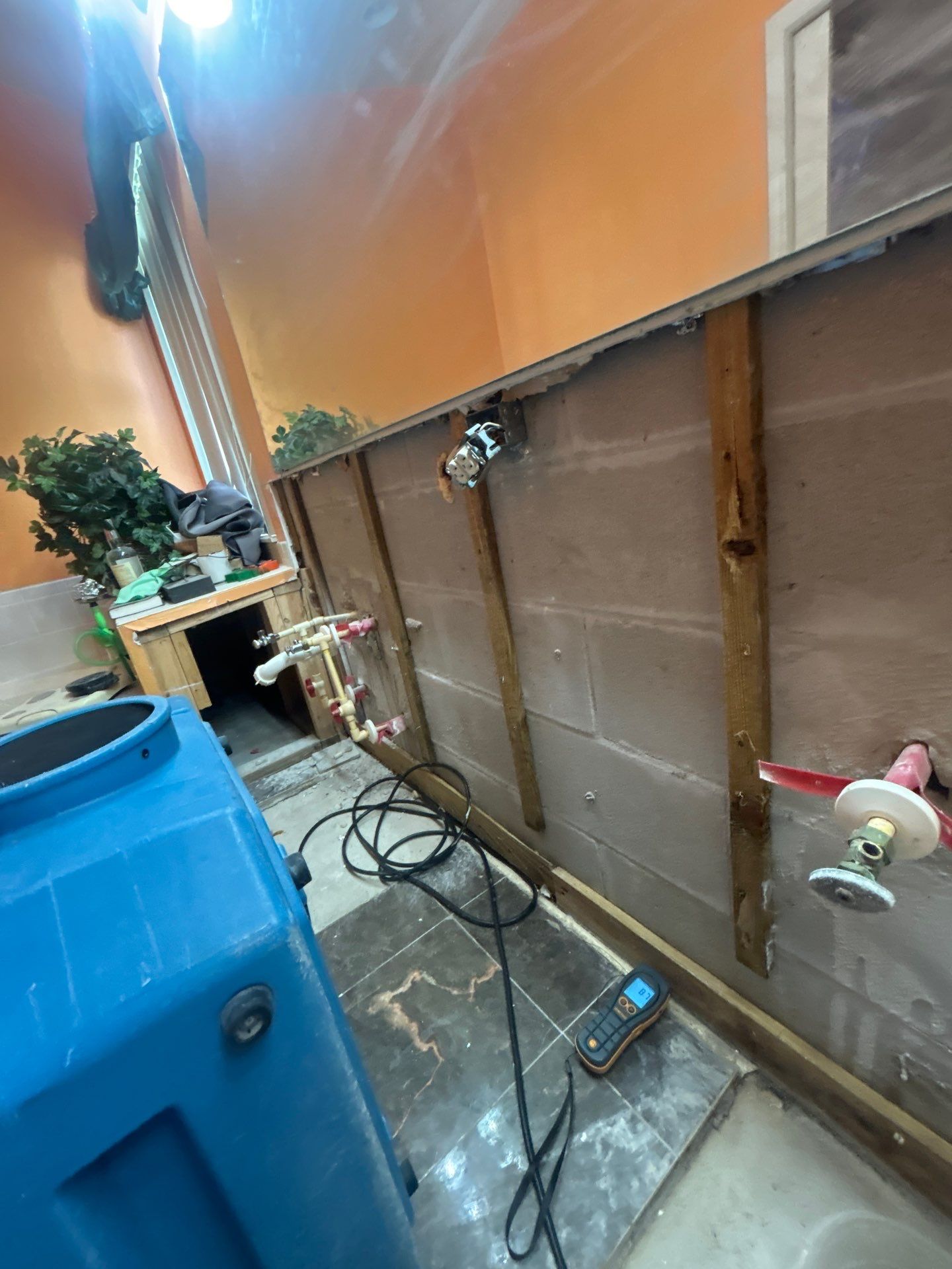 Mold Inspection & Removal In Riverview, FL by Ampm Restoration Services