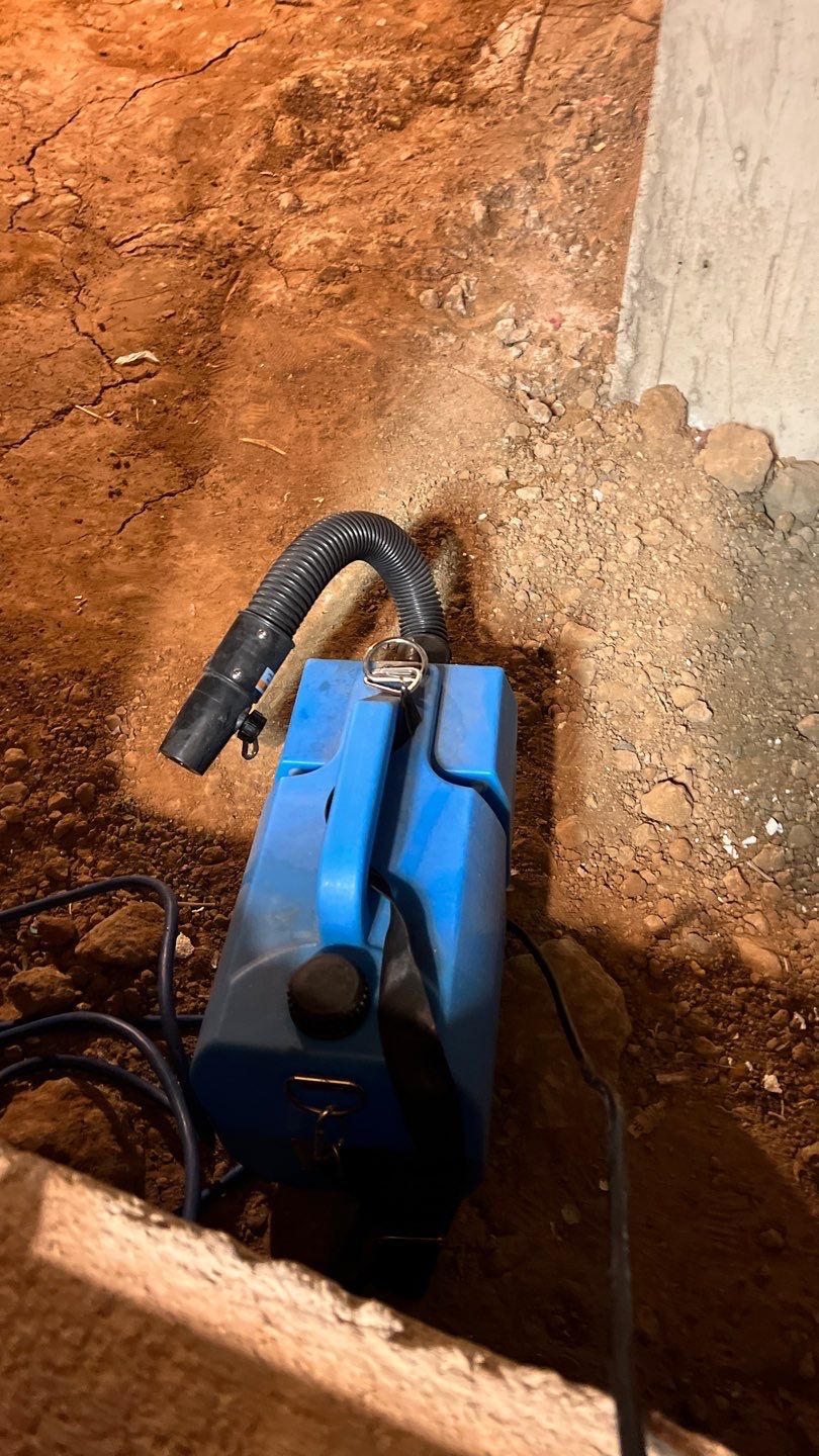 Mold Damage by Accountable Home Services