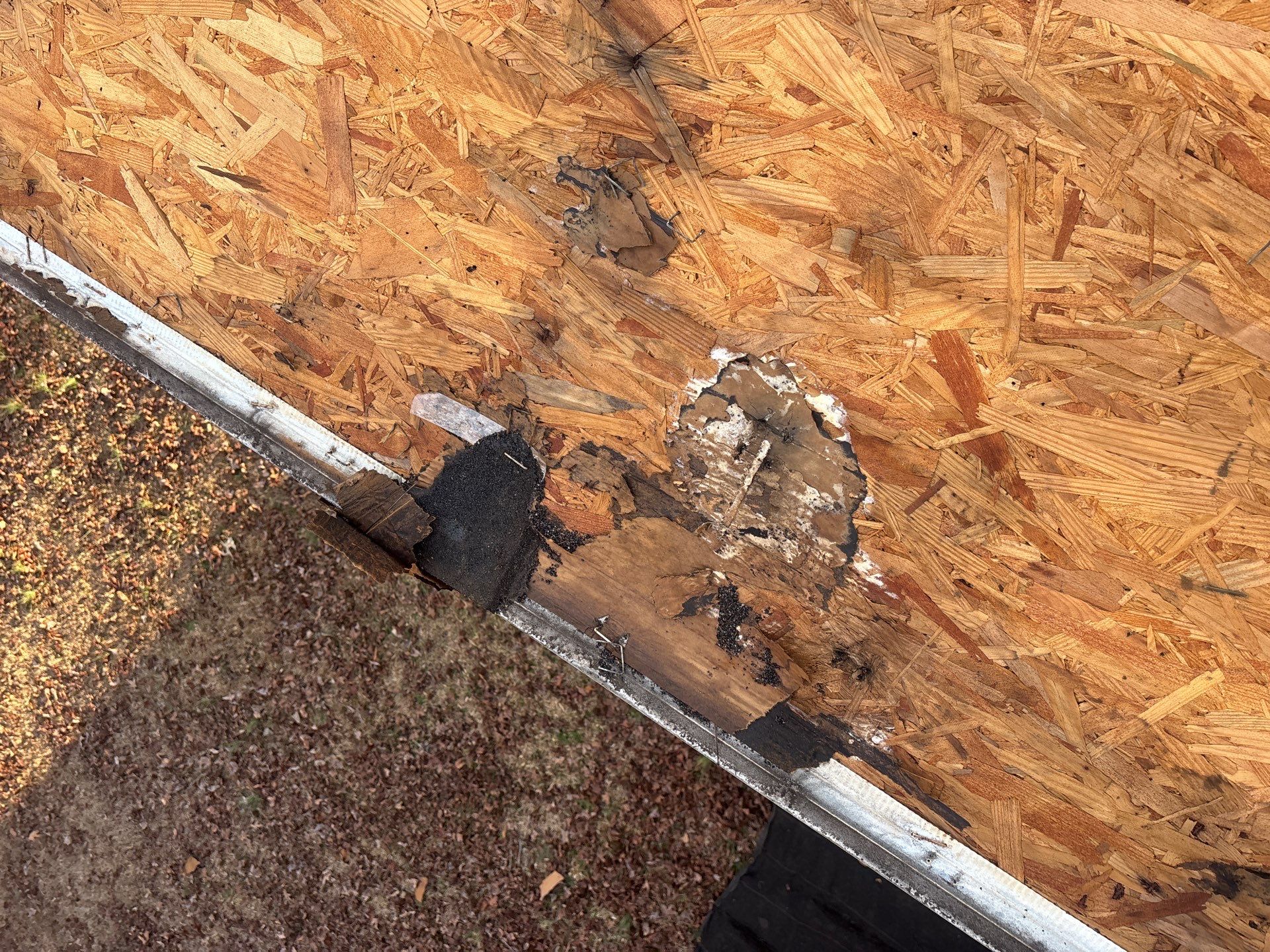 Roof Replacement in Waterloo, SC | New CertainTeed XT 25 Nickel Gray Shingles by Roofers LLC