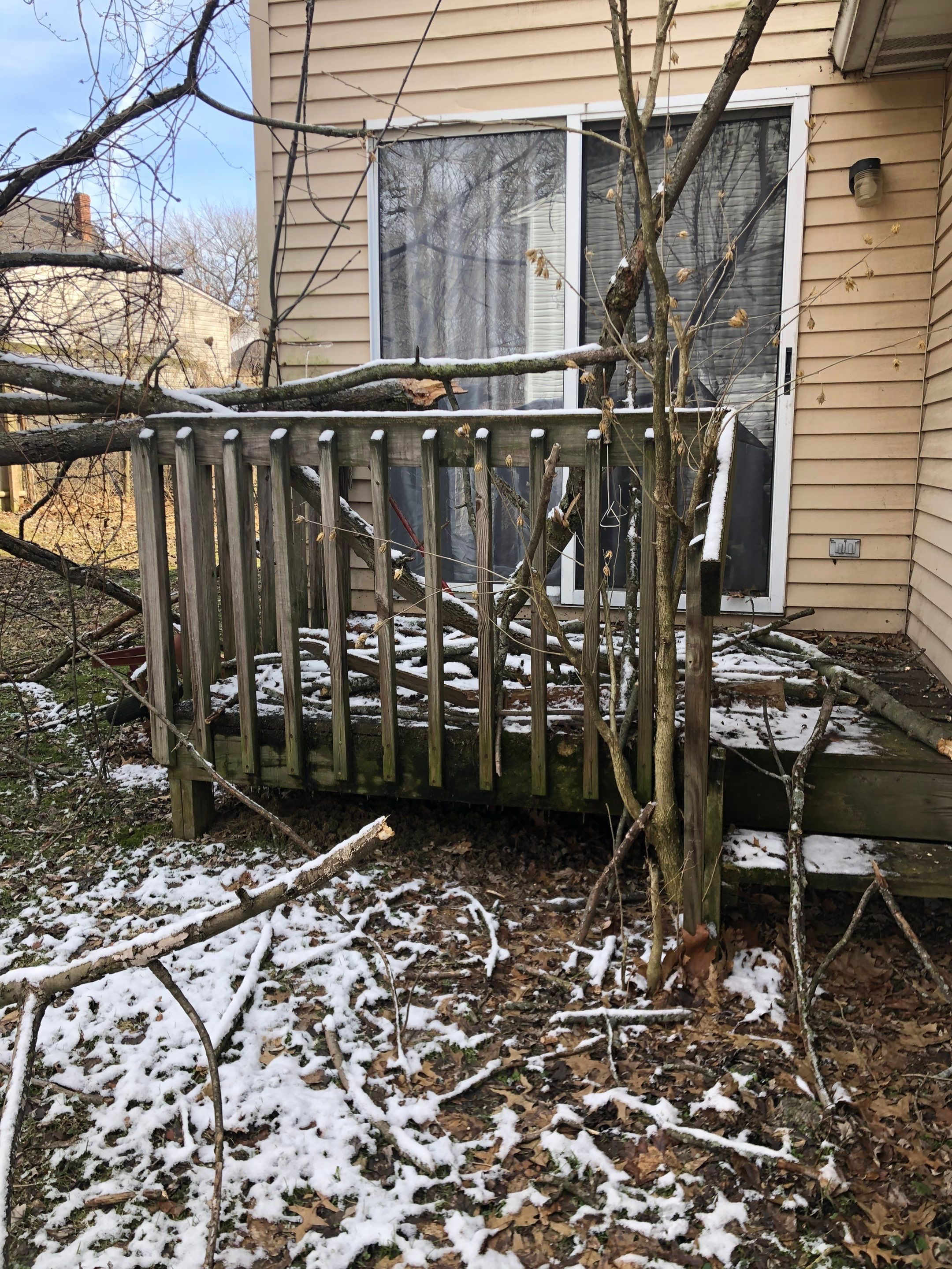 Tree Removal using Tree Removal by Mike Jones & Sons Tree Service LLC 