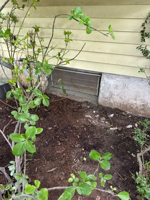 Basement Waterproofing River Edge NJ