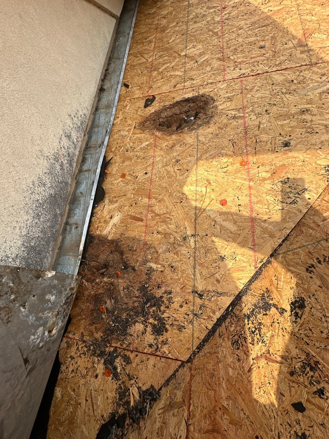Roof Replacement Spring by Roof Repair Company