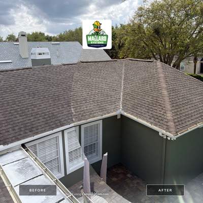 Shingle Roof Cleaning
