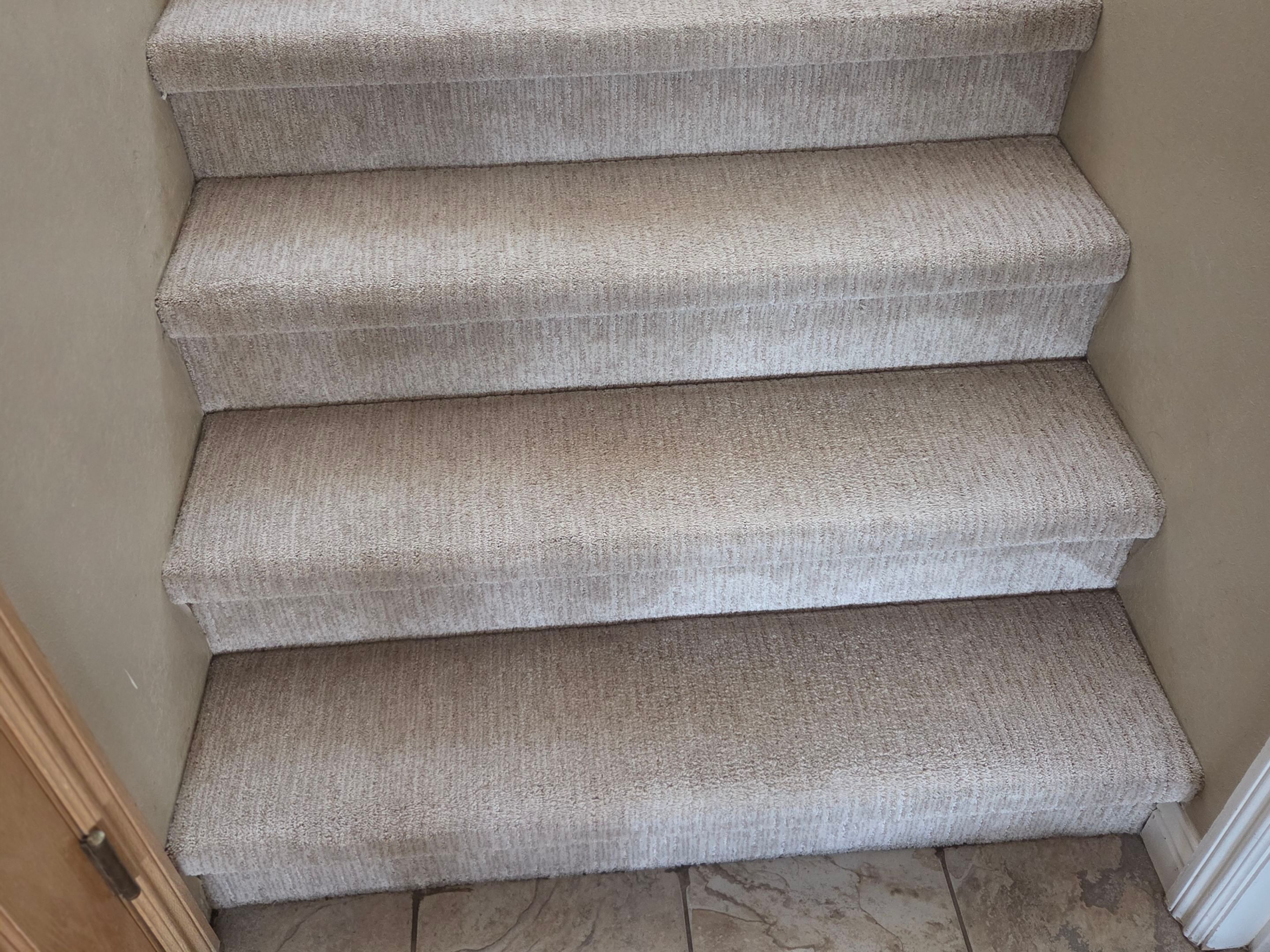 Carpet Cleaning in Rancho Murieta by Ardent Carpet Restore LLC