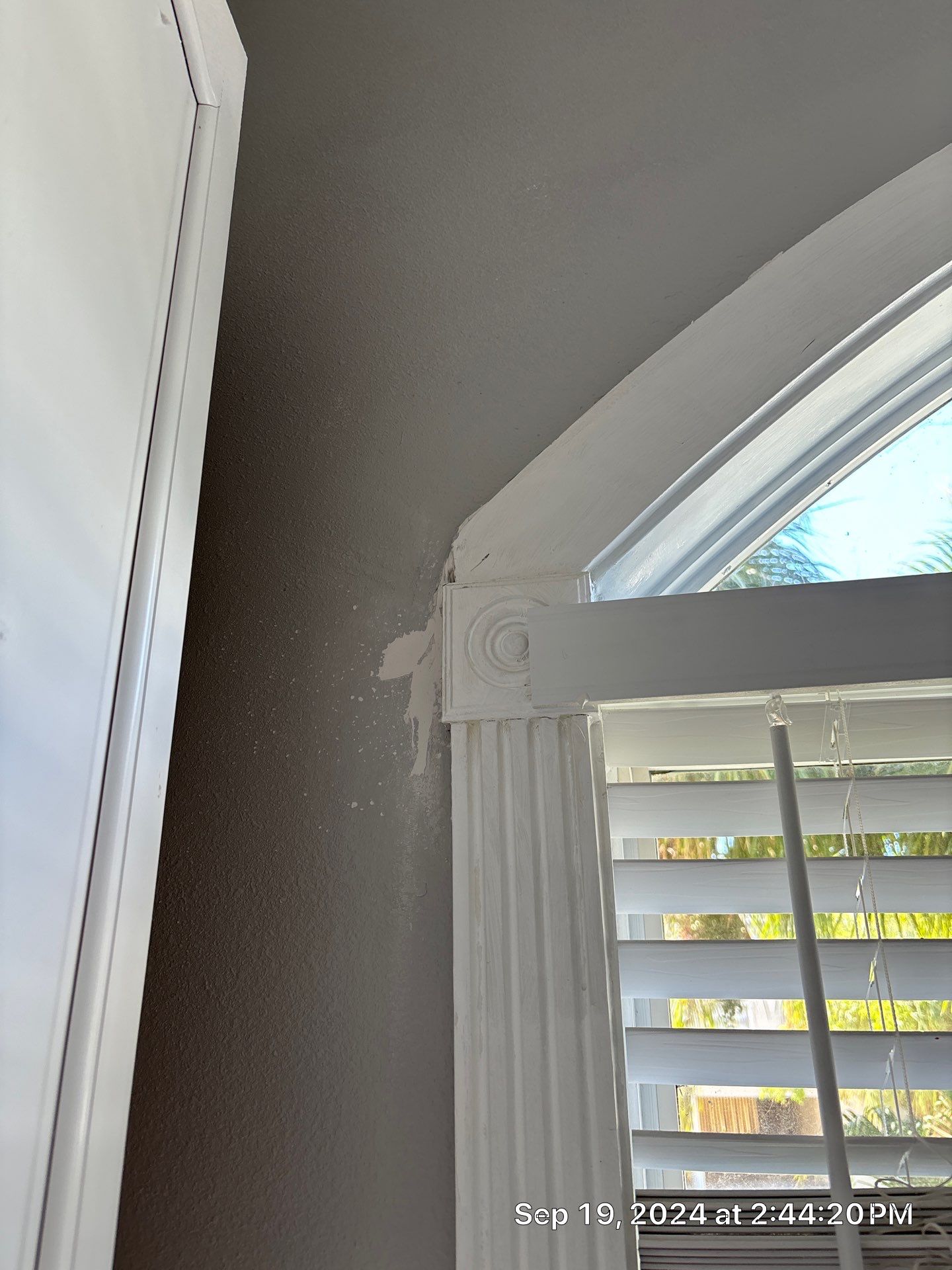 Holmes Beach AC Mold Deep Cleaning by Ampm Restoration Services 