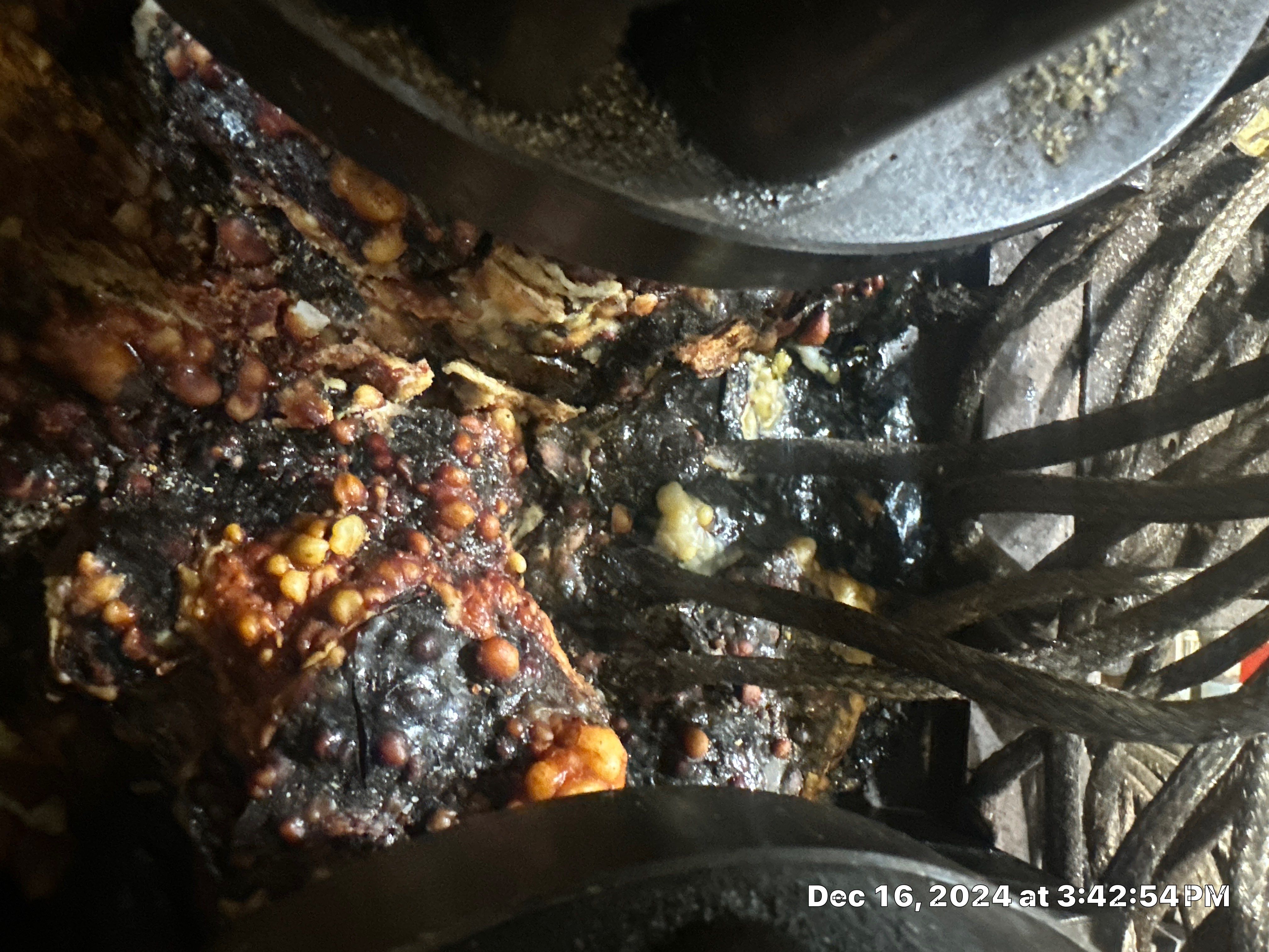 Project in Katy by Altium Packaging