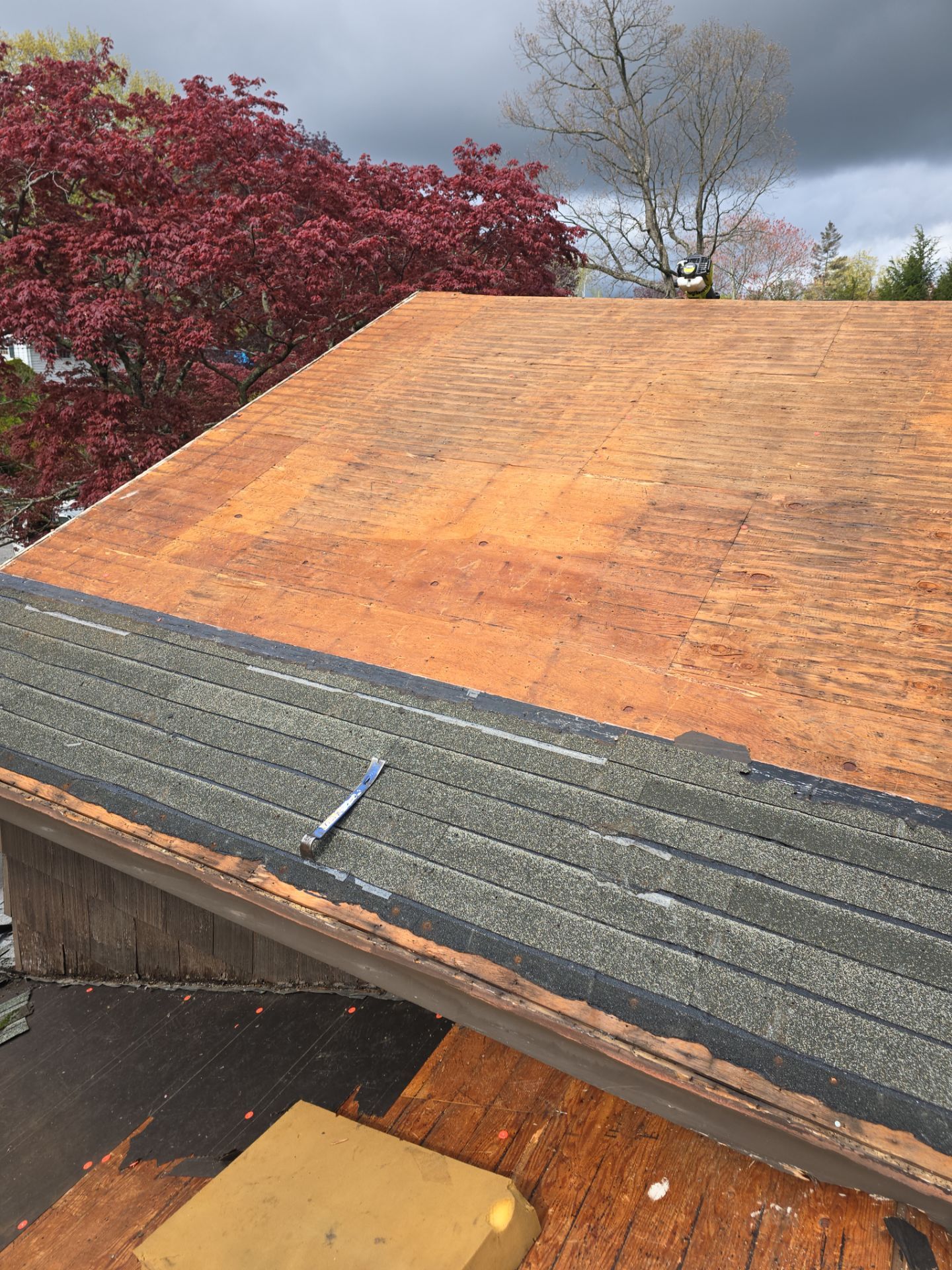 Residential Roof Replacement and Plywood Sheathing Repair in Torrington by A Plus Exterior