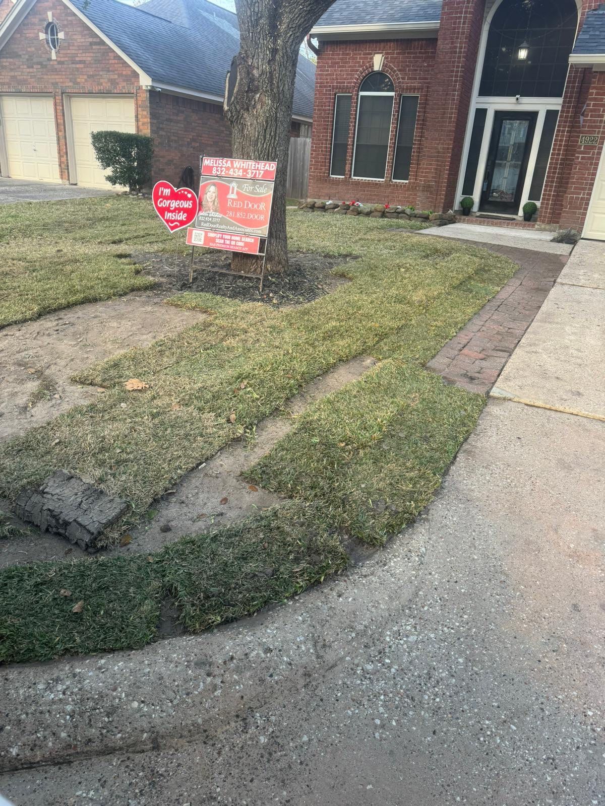 🌱✨ Angelica & Leandro’s Backyard Renewal – A Fresh Start with New Sod by Texas Urban Elements