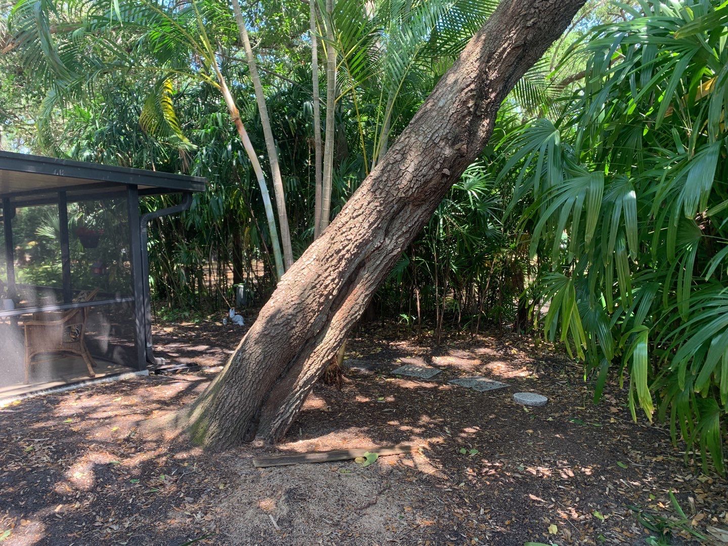Sarasota, FL 4ft. Tall Treated Board on Board Fence by Asap fence and gates, LLC