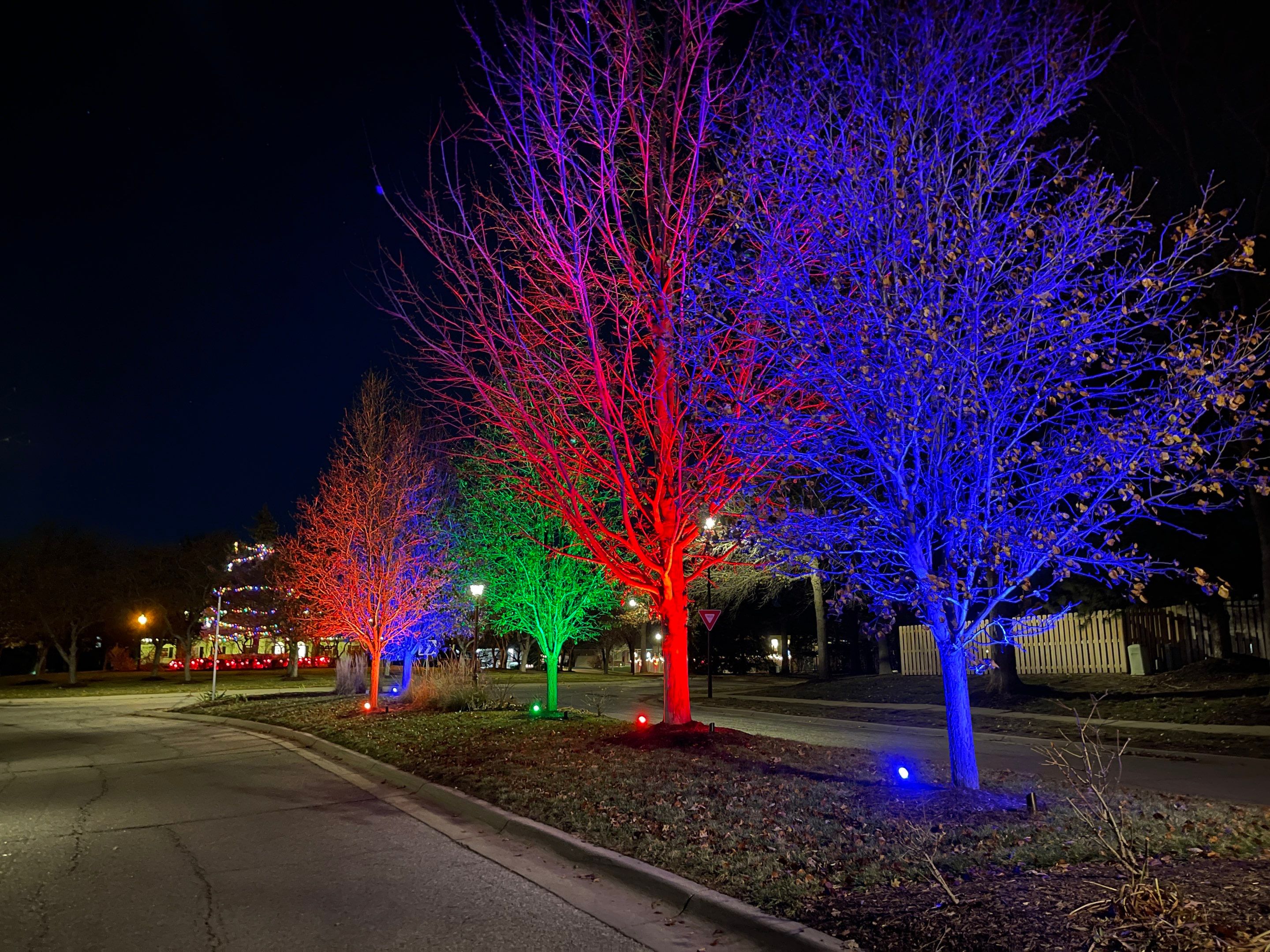 Williamsburg by Midwest Lightscaping