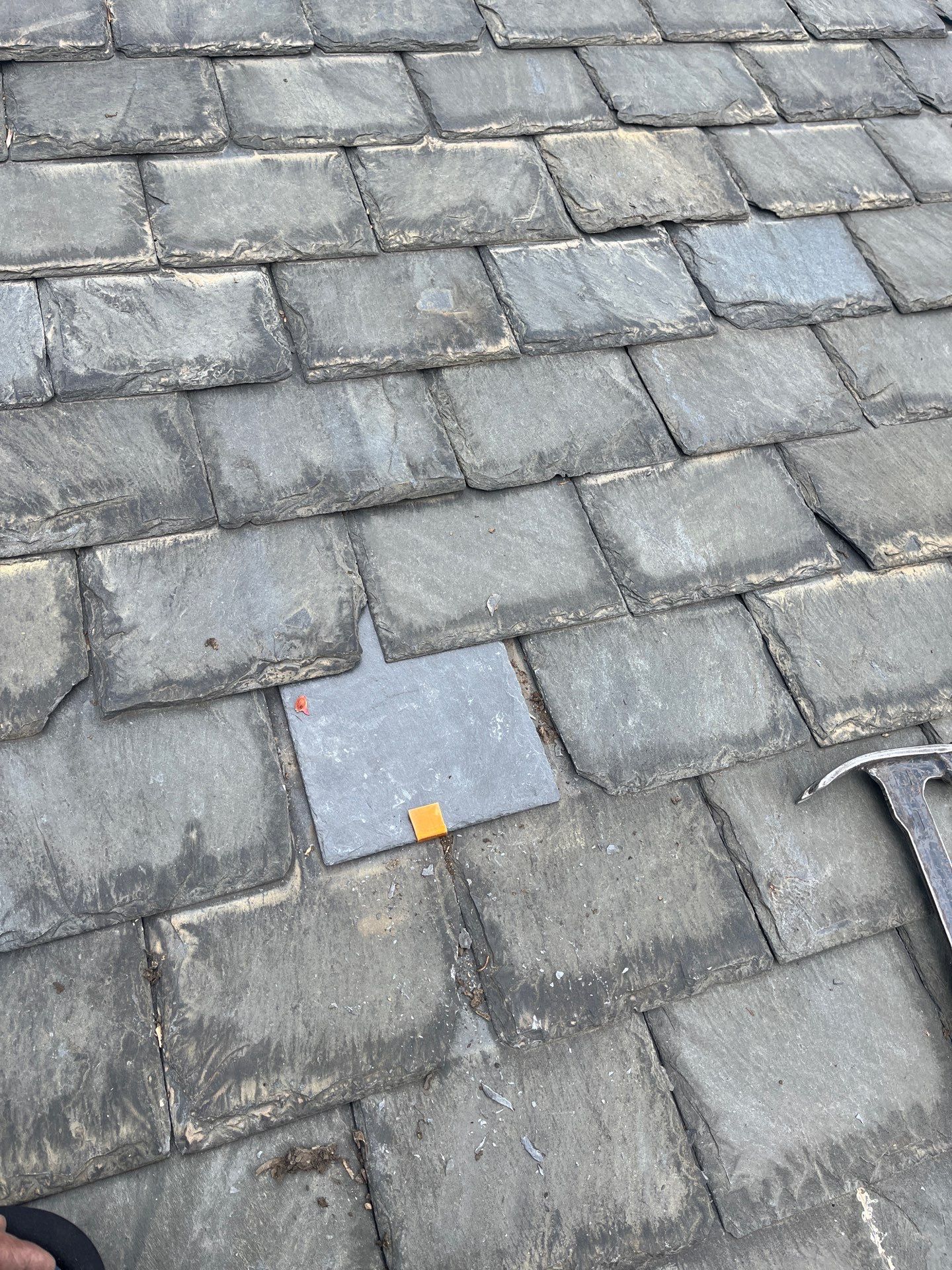 Arlington: Buckingham Slate and Carlisle Syntec TPO Roof by RM Banning, Inc.