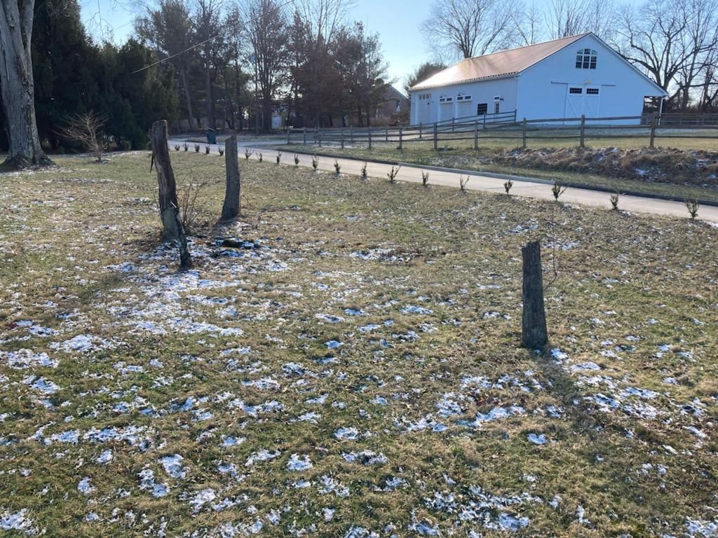 Tree Removal using Tree Removal by Mike Jones & Sons Tree Service LLC 