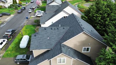 Timberline NS Project in Pacific WA