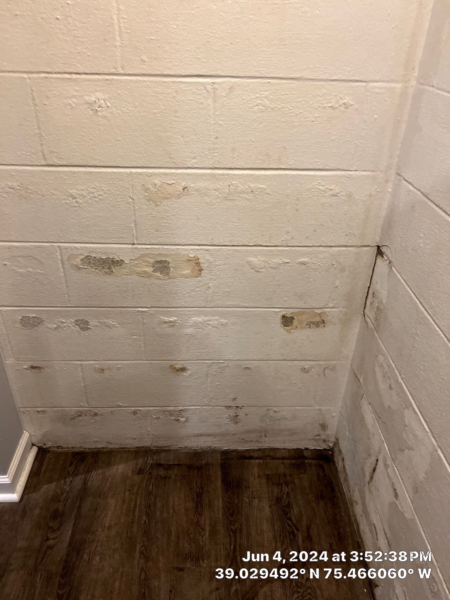 Basement Mold Remediation by Healthy Home Solutions