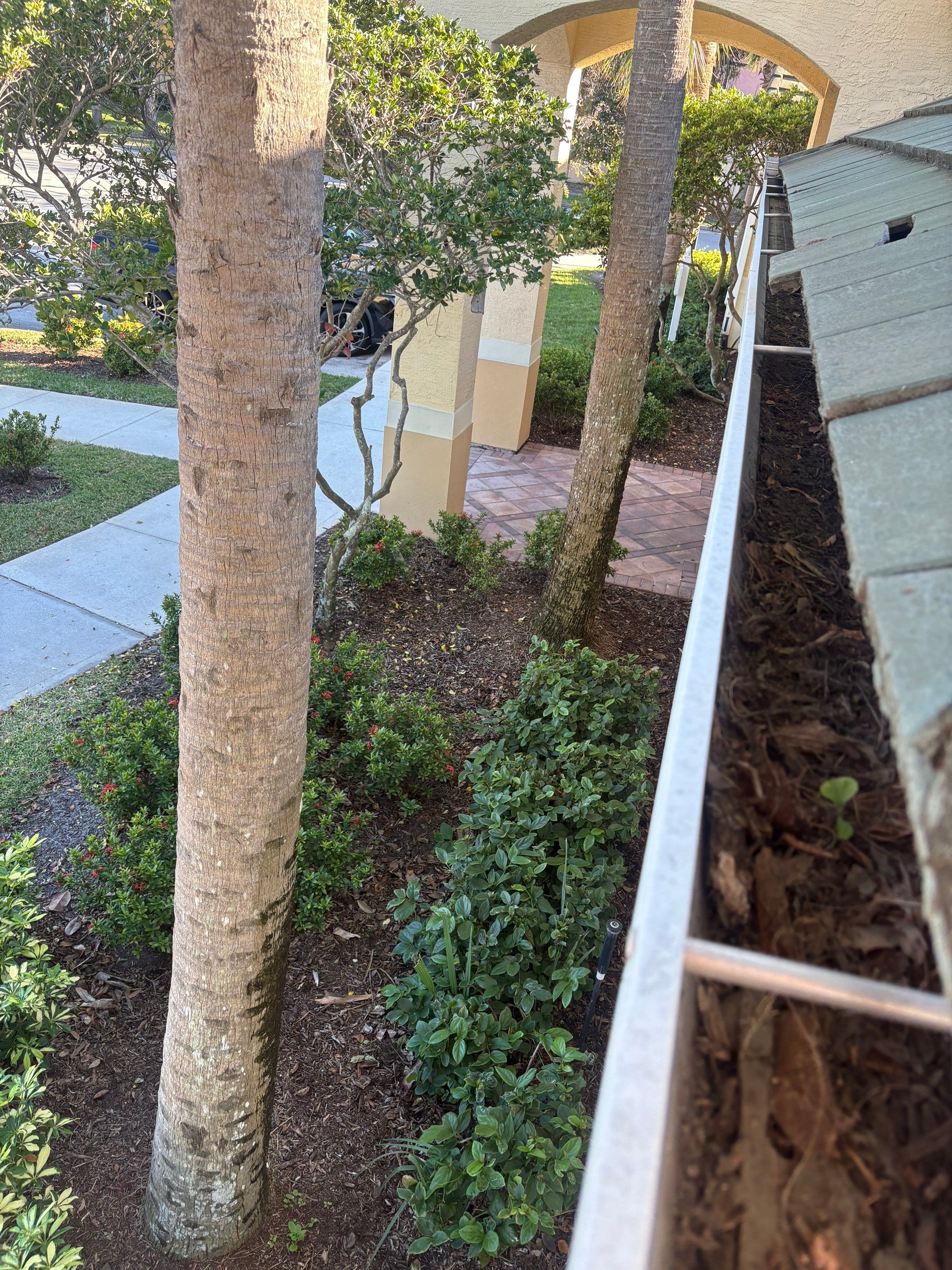Commercial gutter cleaning Palm Bay & Melbourne, before photo with filled gutters
