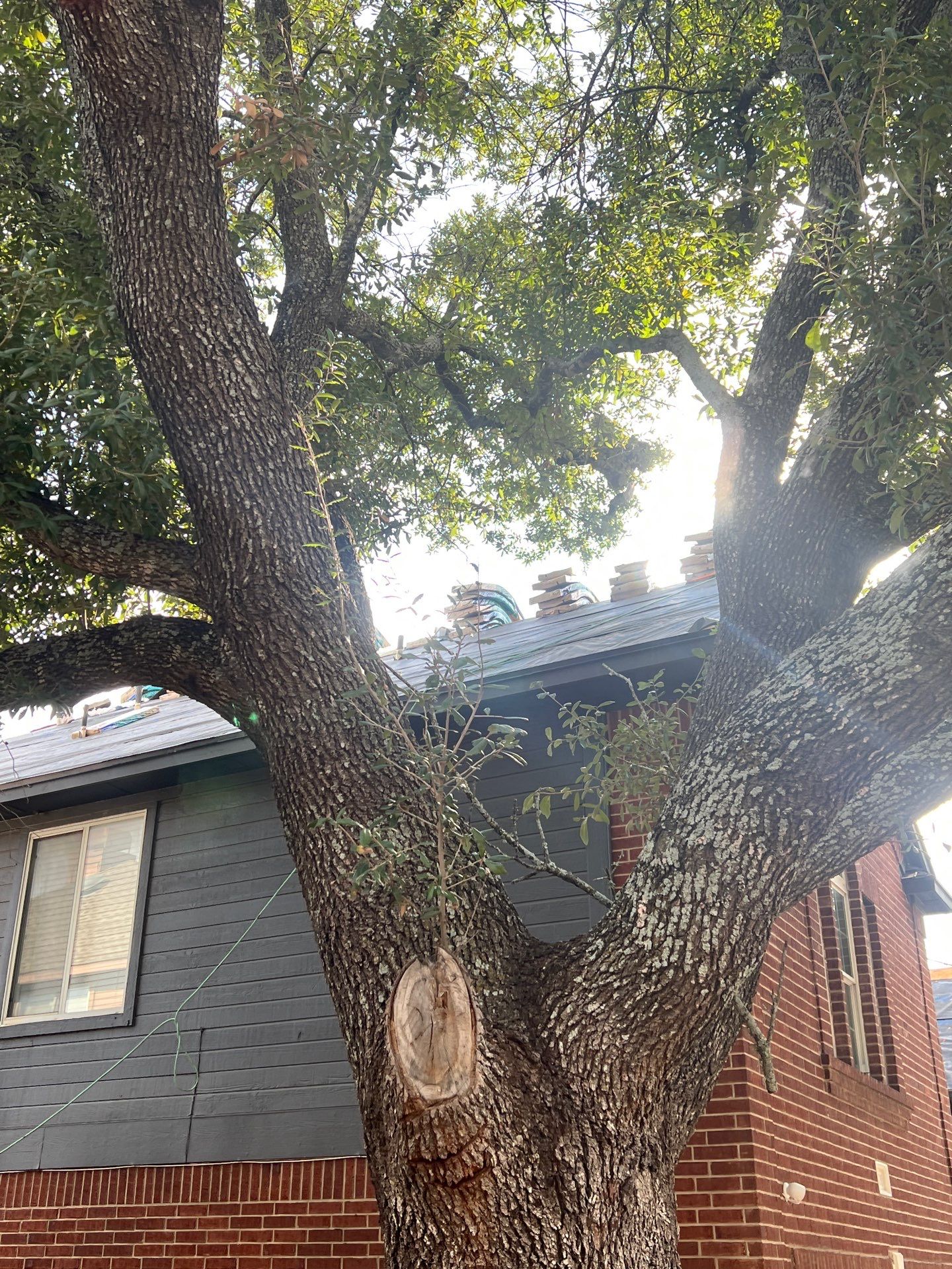 Project in Austin by Rhino Roofing and General Contracting, LLC