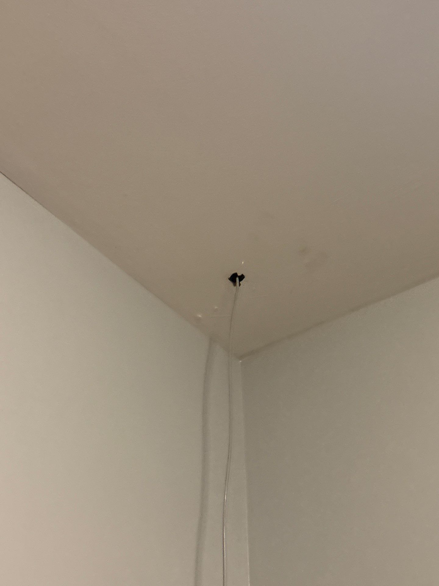 Flush-Mount Lighting and Interior Fixture Installation in Denver by CompanyCam Sales Demo