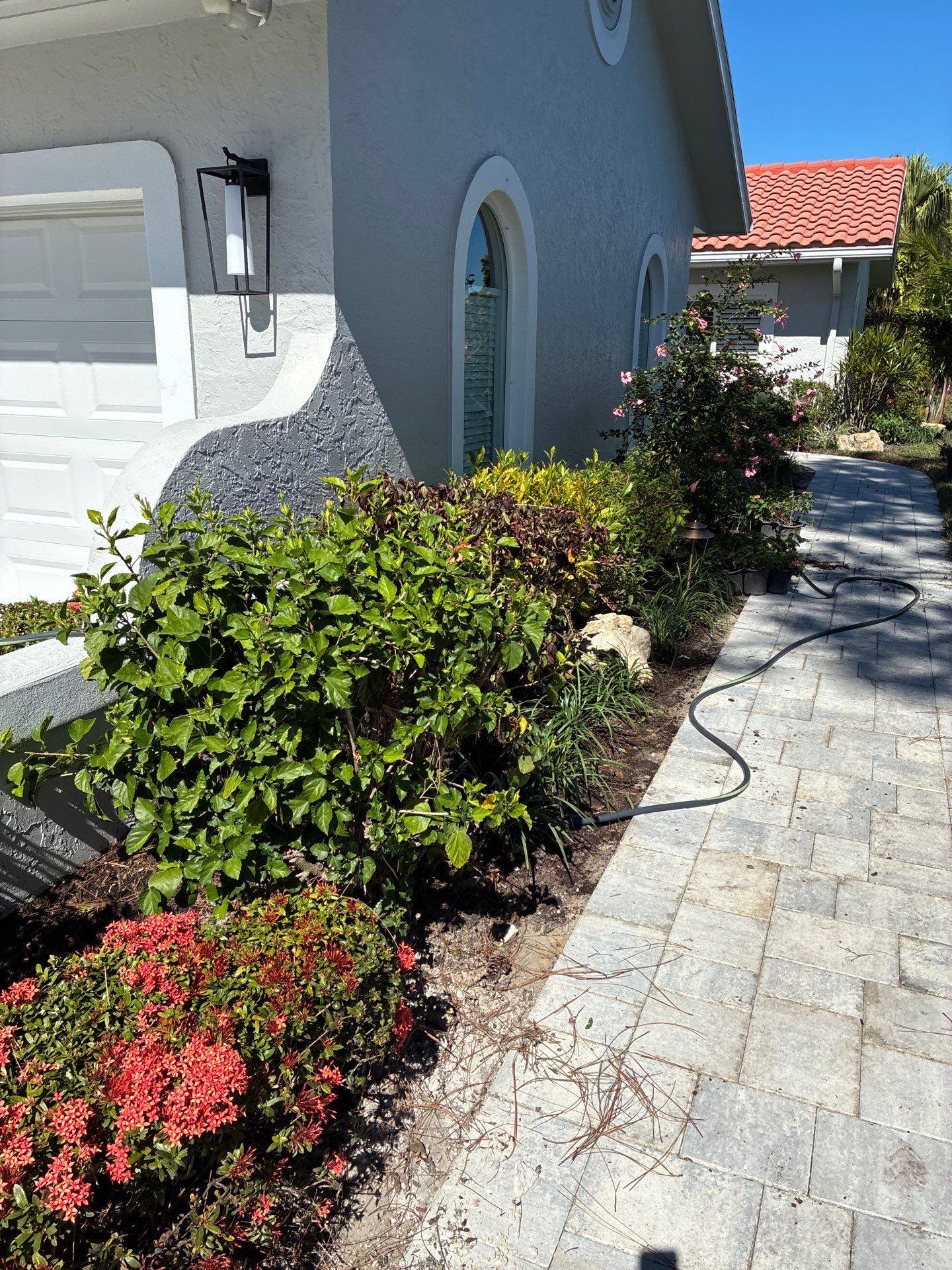 🌴 “Harbour Ridge Haven – A Tropical Revival by Alpha Zeta Landscapes” by Alpha Zeta Enterprises Inc