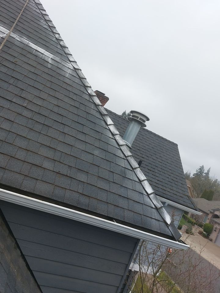 Roof Cleaning  using Moss Treatment  by BEST Roofing & Waterproofing