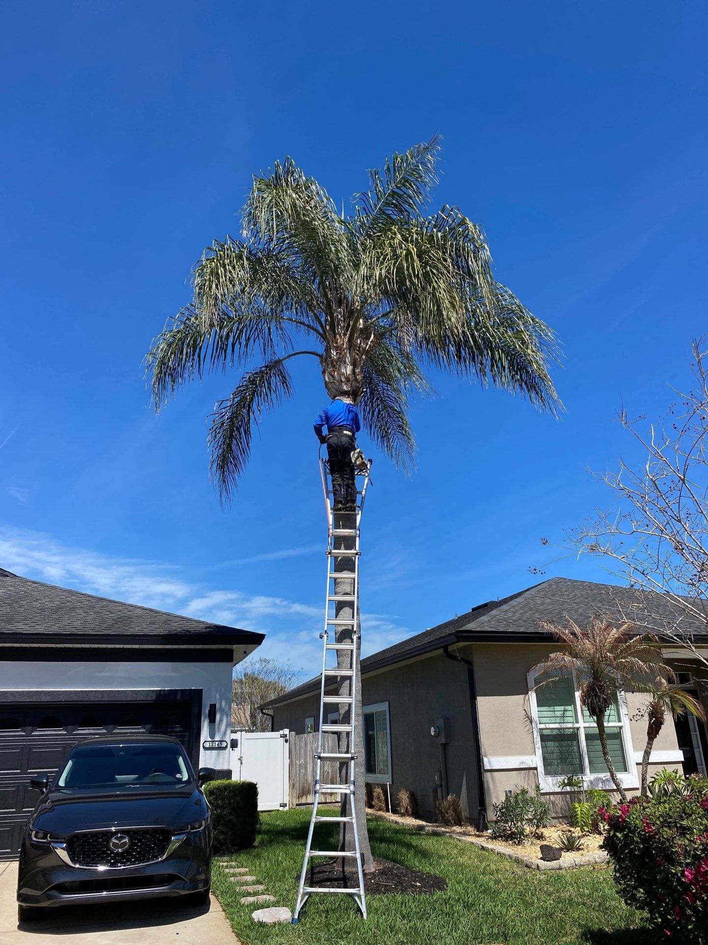 Residential | Tree Service by ProGreen Services