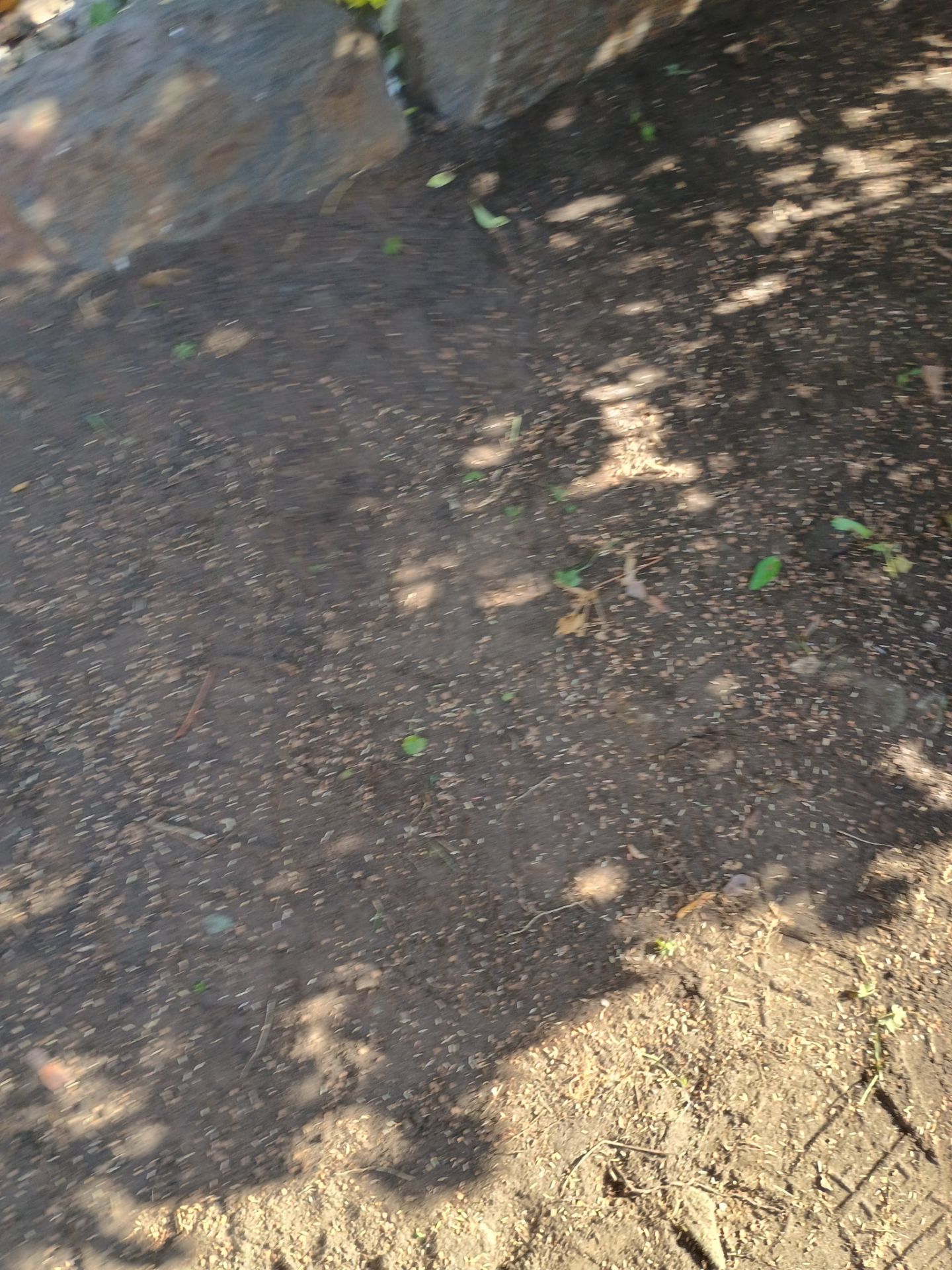 A French Drain for Jeniffer by Waterproofing Northeast