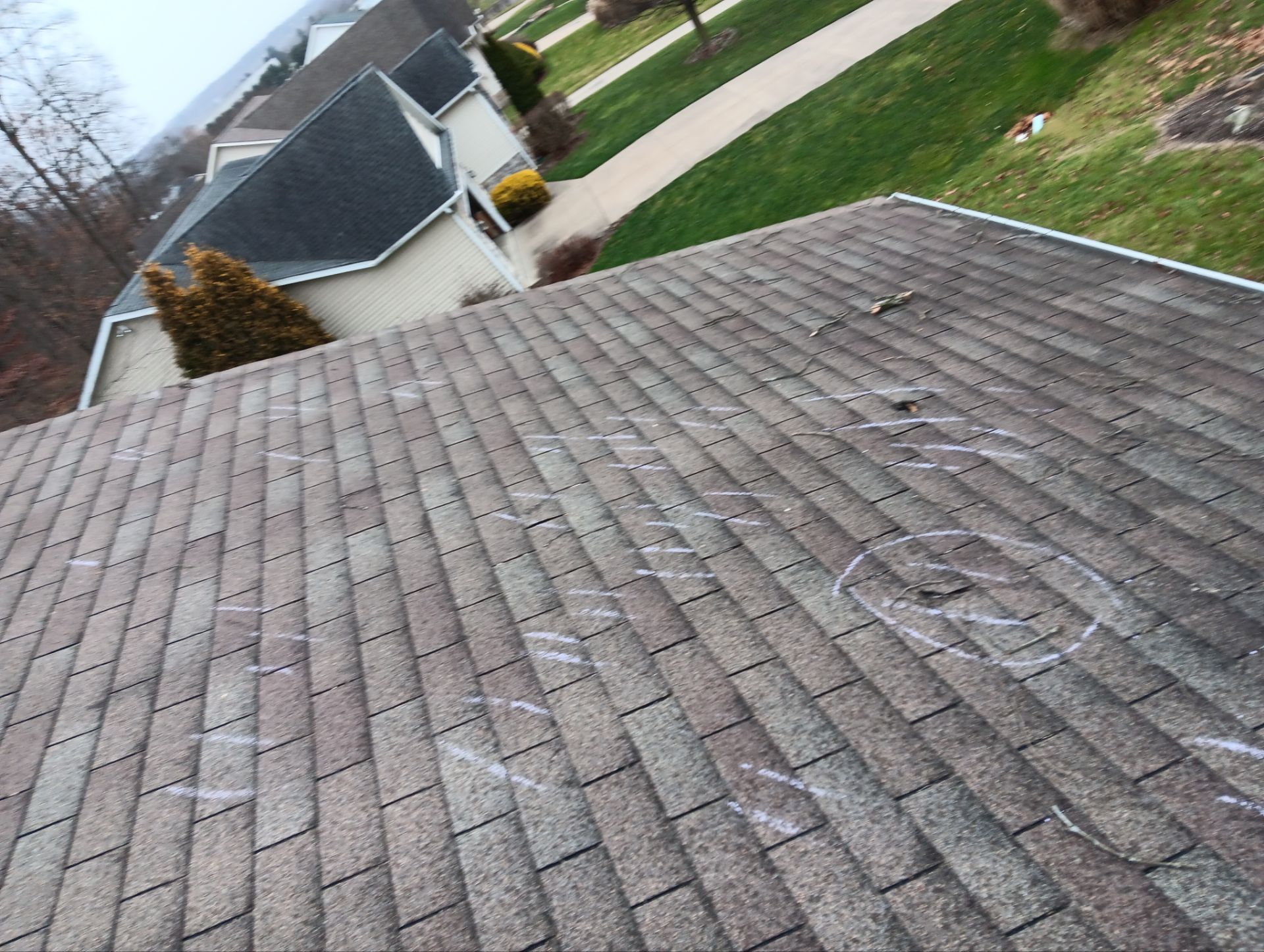 Tara Cox by Silver Leaf Contracting 