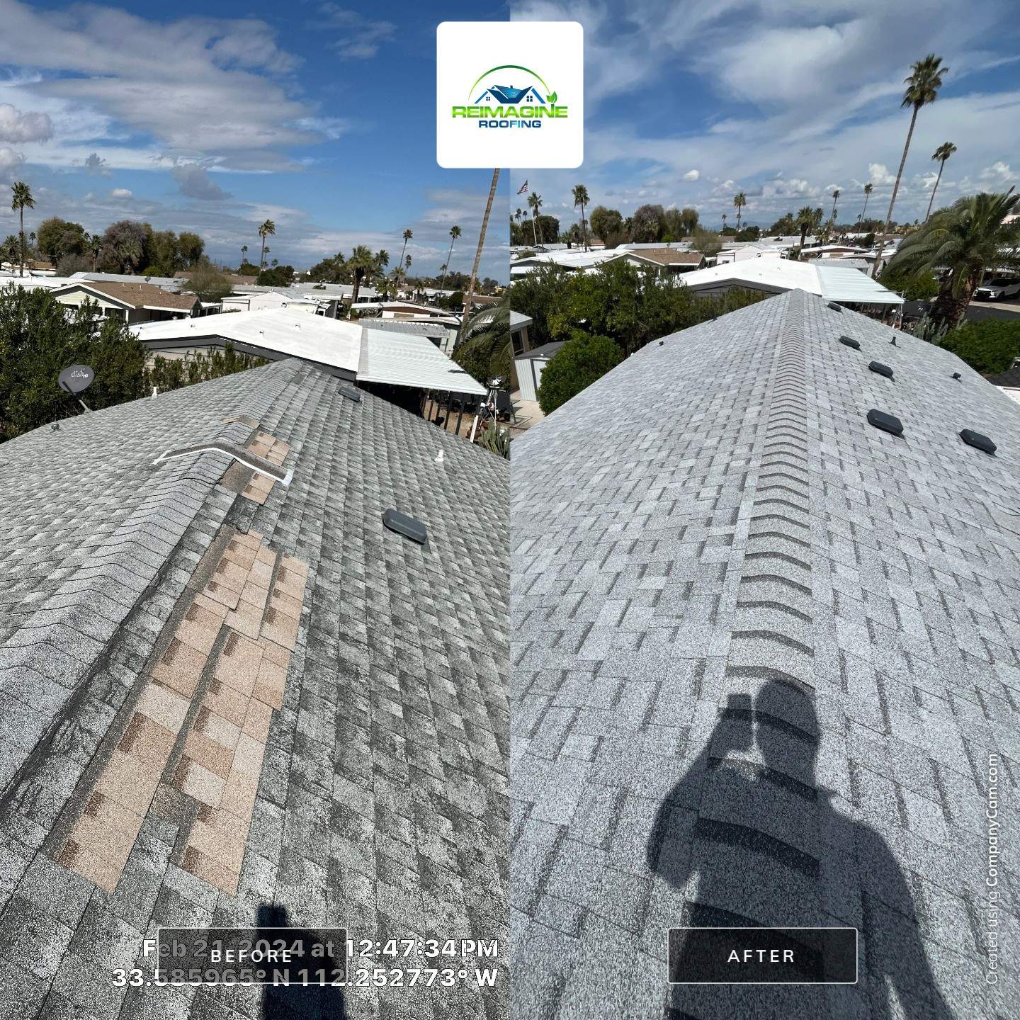 Silver Birch Shingles by Reimagine Roofing