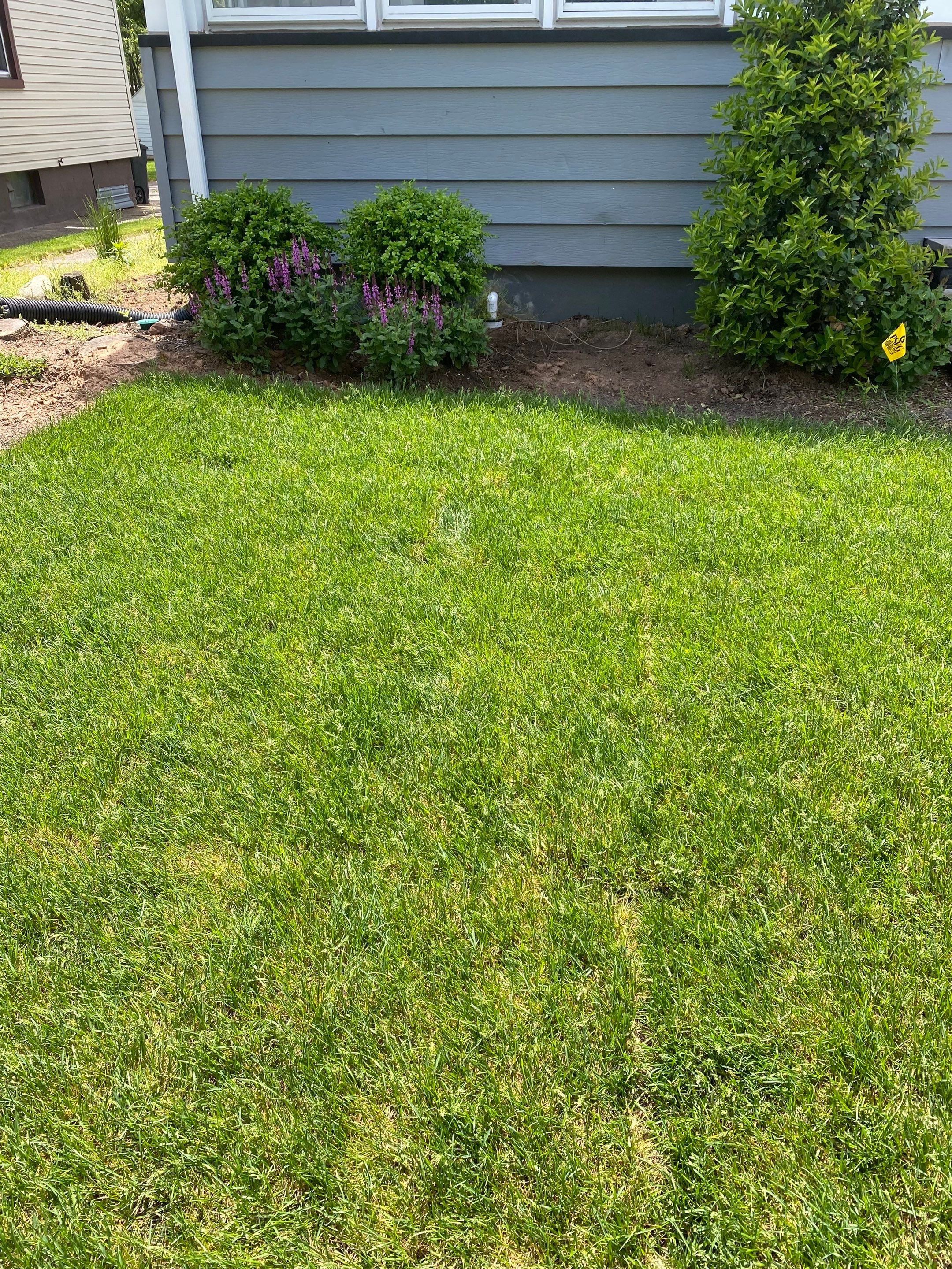 Interior French Drain Job in Lyndhurst, NJ by Pure Service Pro, LLC 