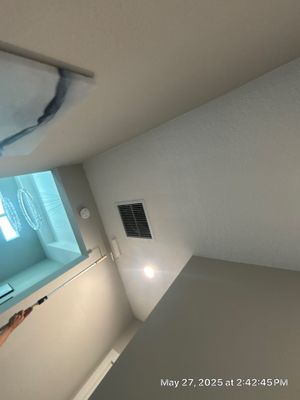 Mold Damage Removal In Bradenton