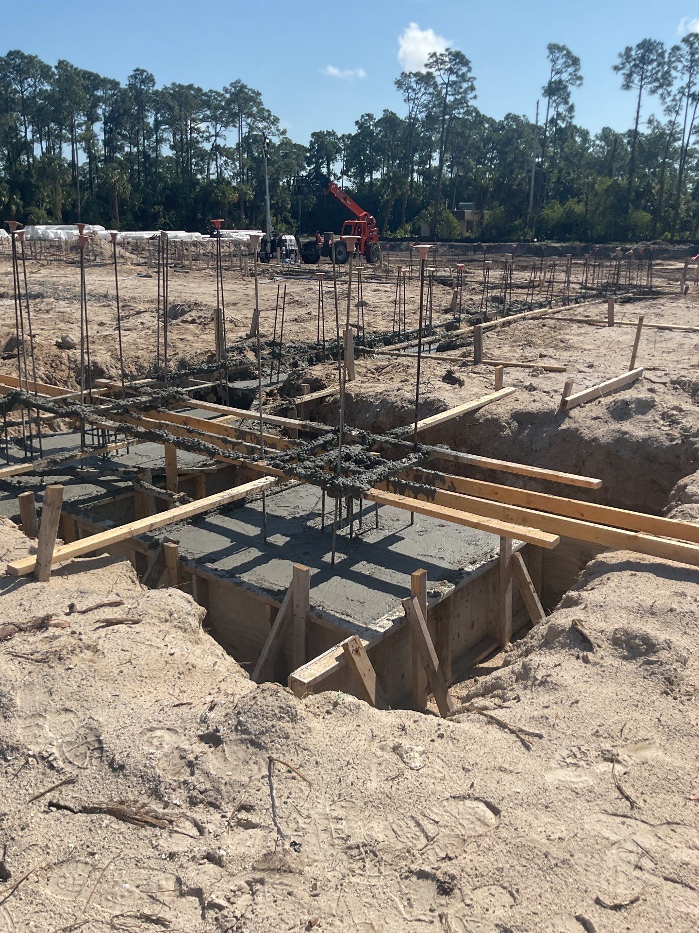 TRACTOR SUPPLY NAPLES by Southern Gulf Construction