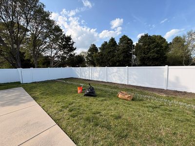 Backyard Adventures Start Here